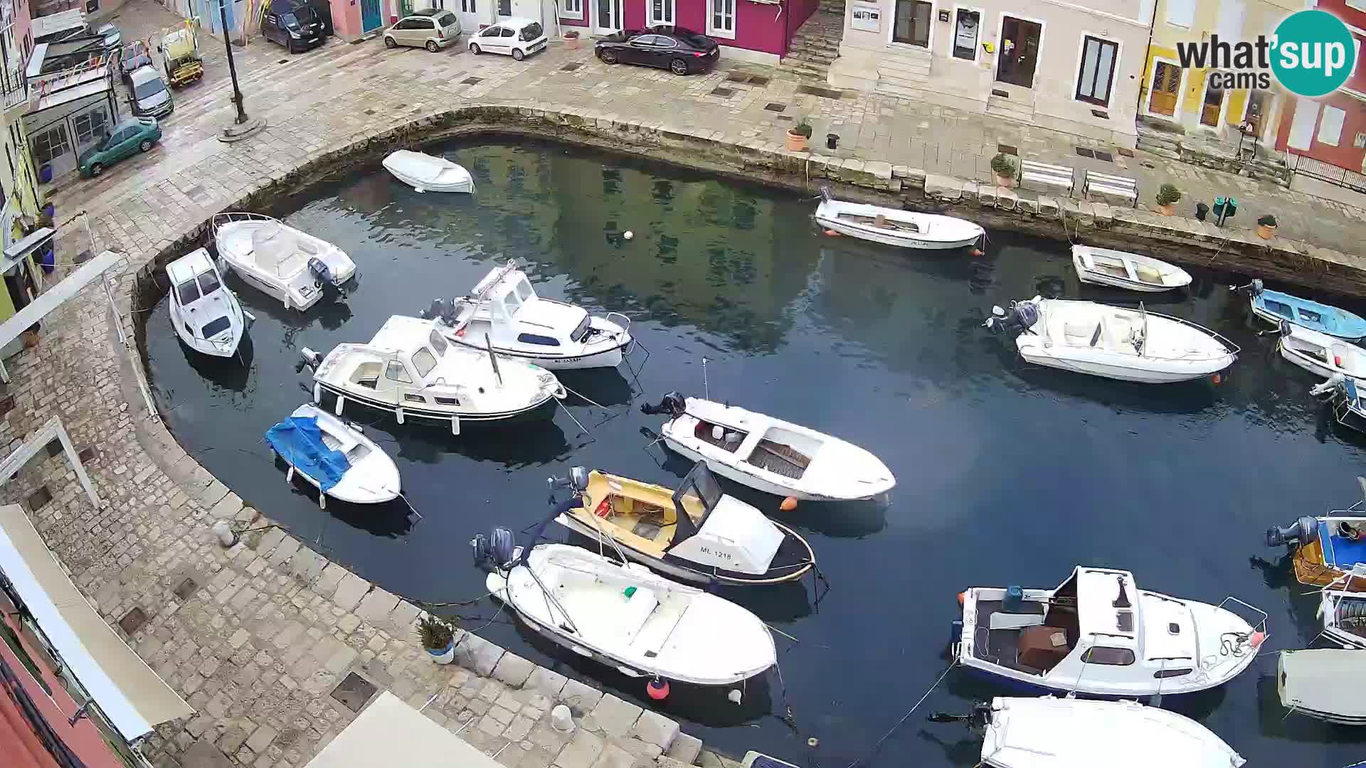 Veli Lošinj livecam – Carre