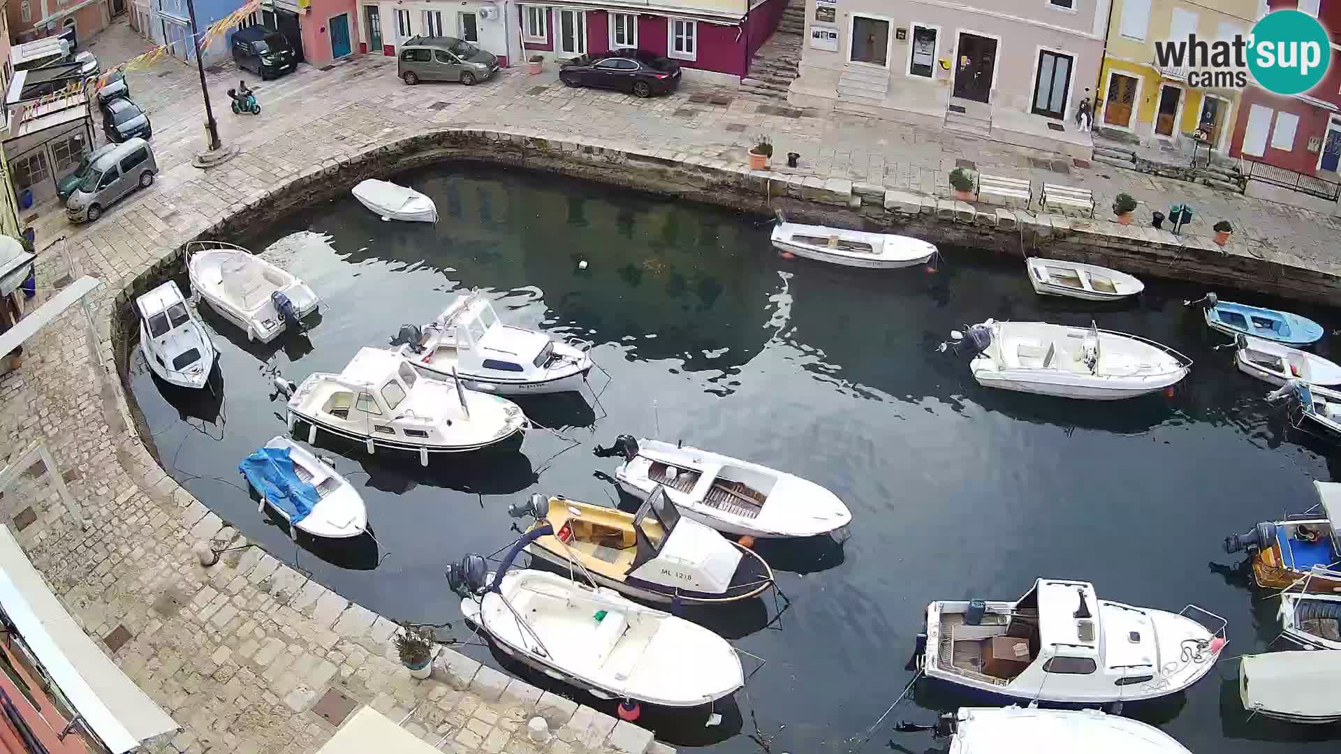 Veli Lošinj livecam – Carre