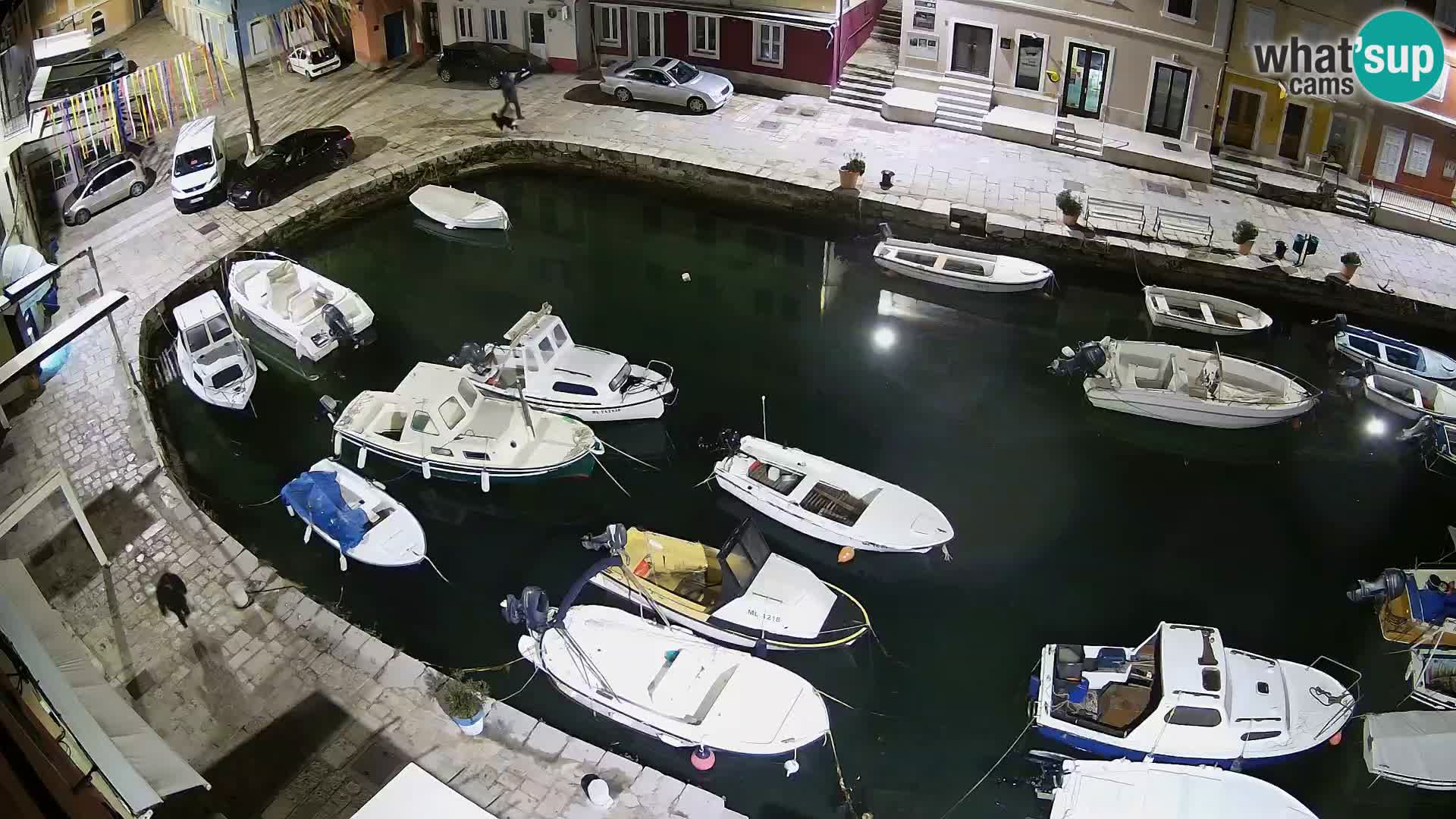 Veli Lošinj livecam – Carre