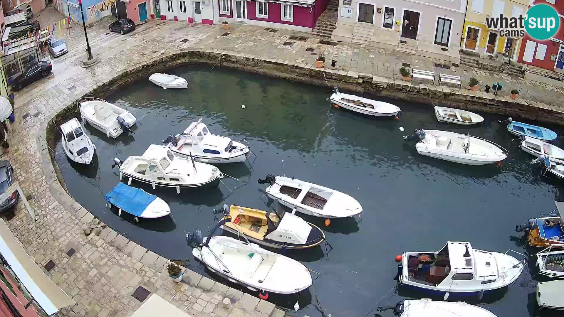 Veli Lošinj livecam – Carre