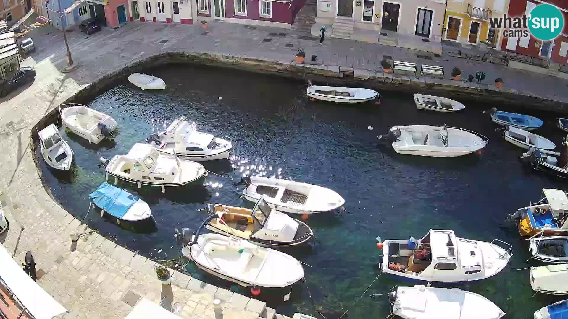 Veli Lošinj camera en vivo – plaza