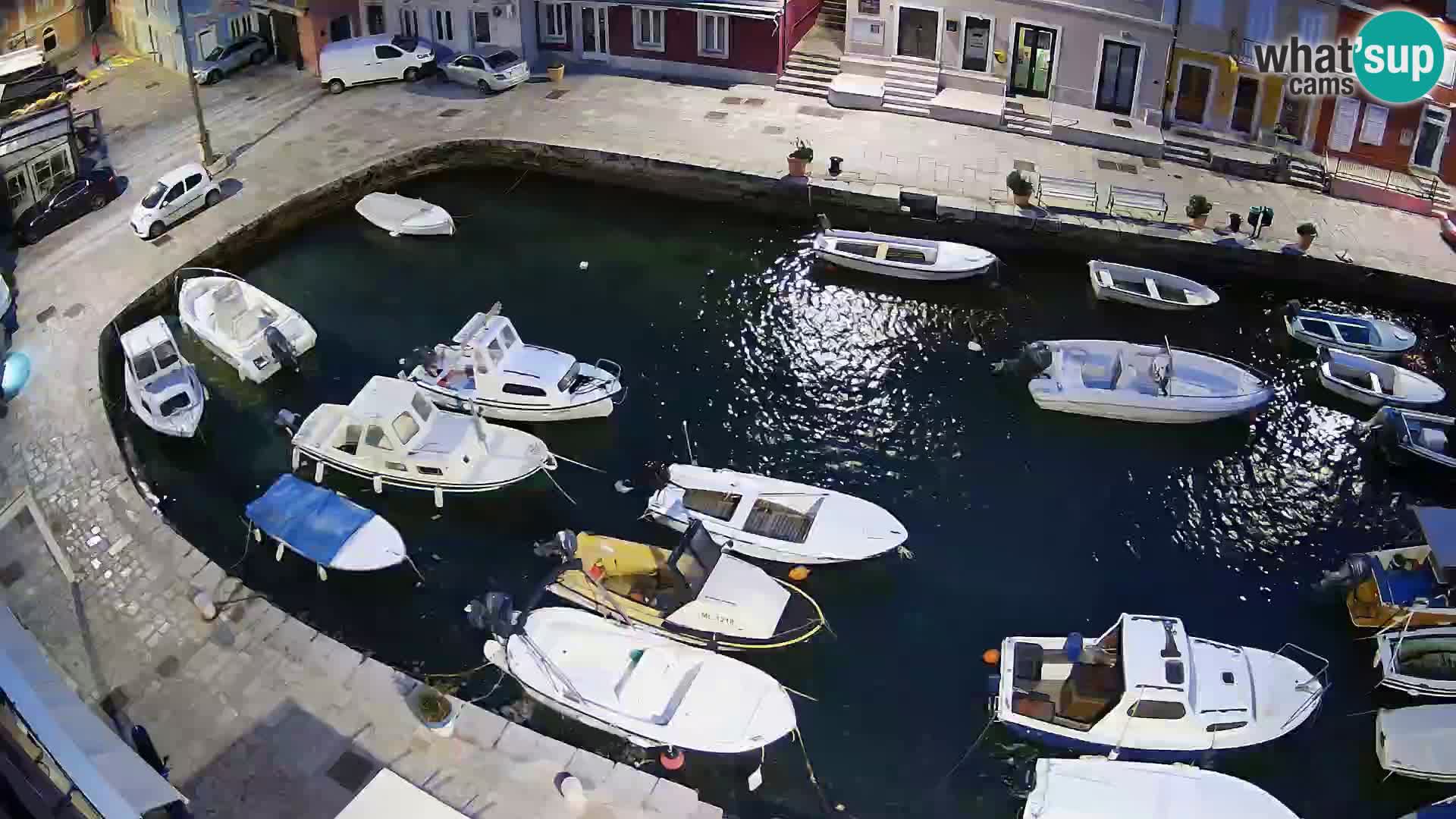 Veli Lošinj livecam – Carre