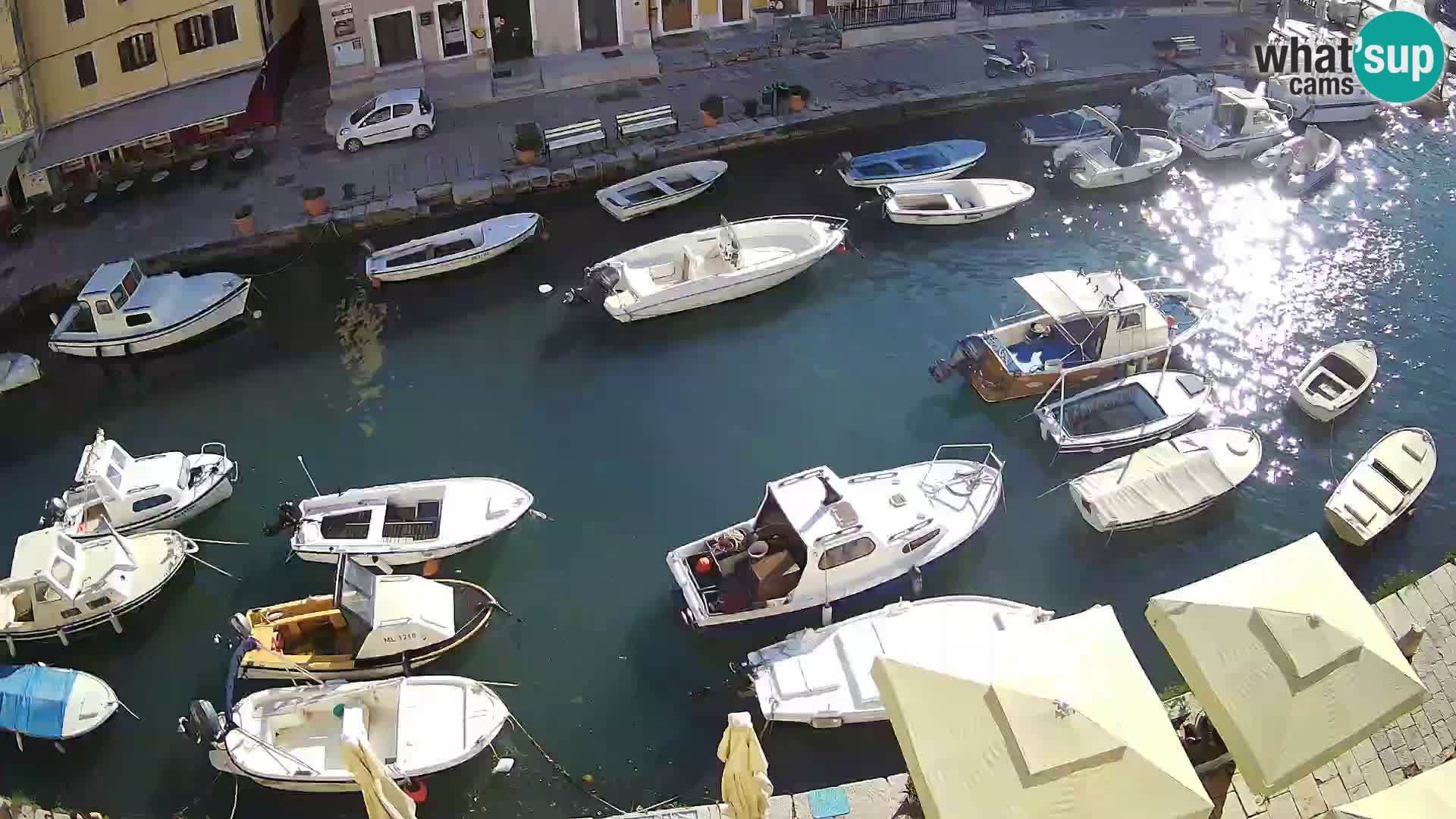 Veli Lošinj web kamera – trgič