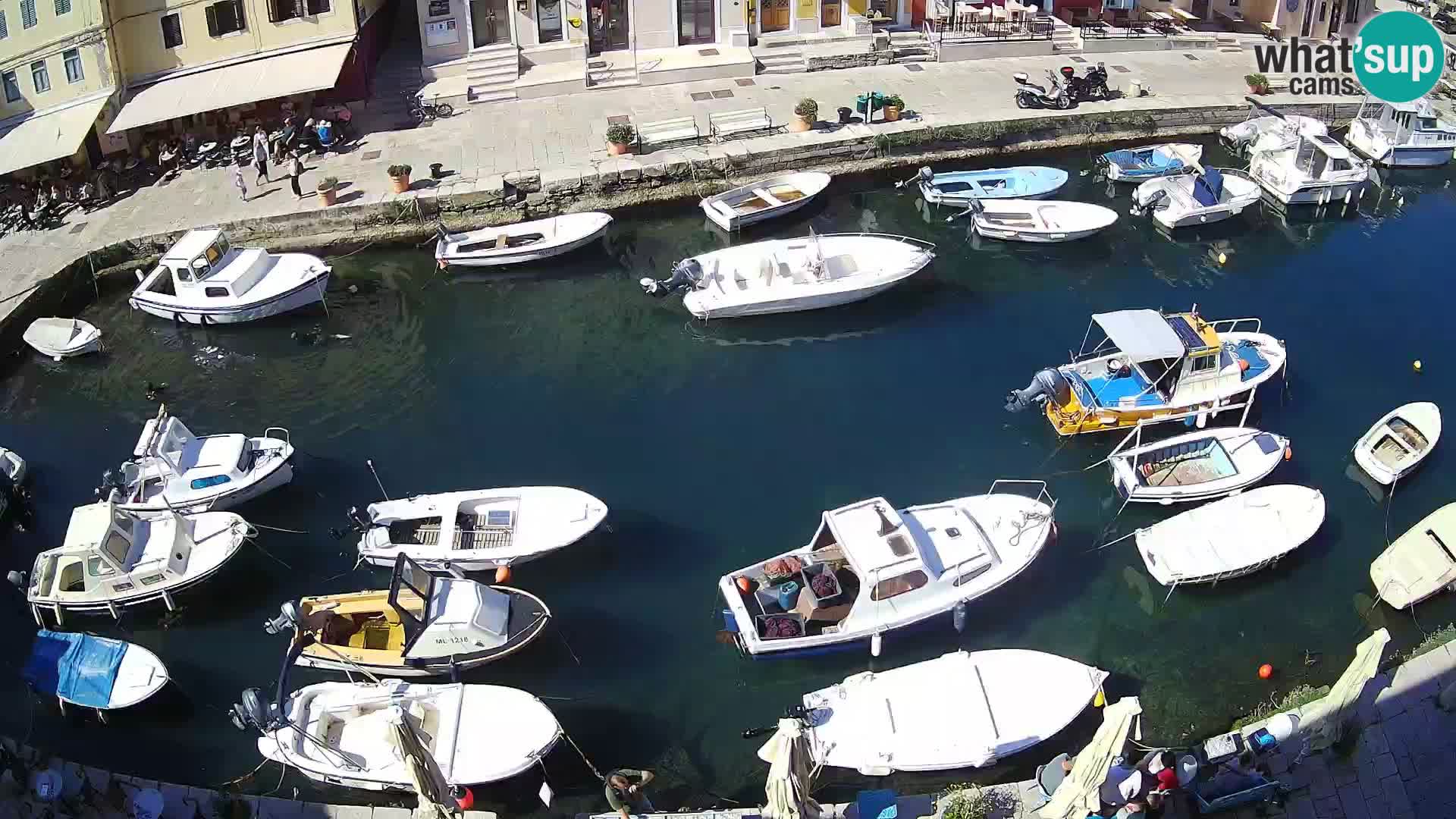 Lussingrande webcam – Piazzetta