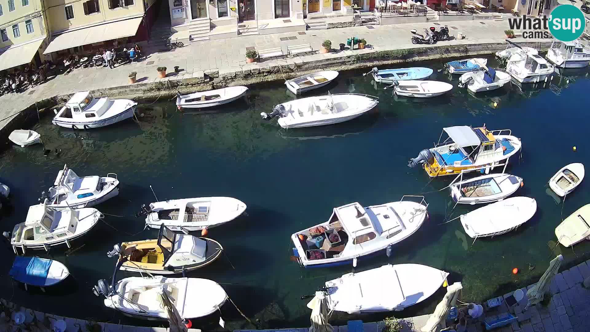 Veli Lošinj camera en vivo – plaza