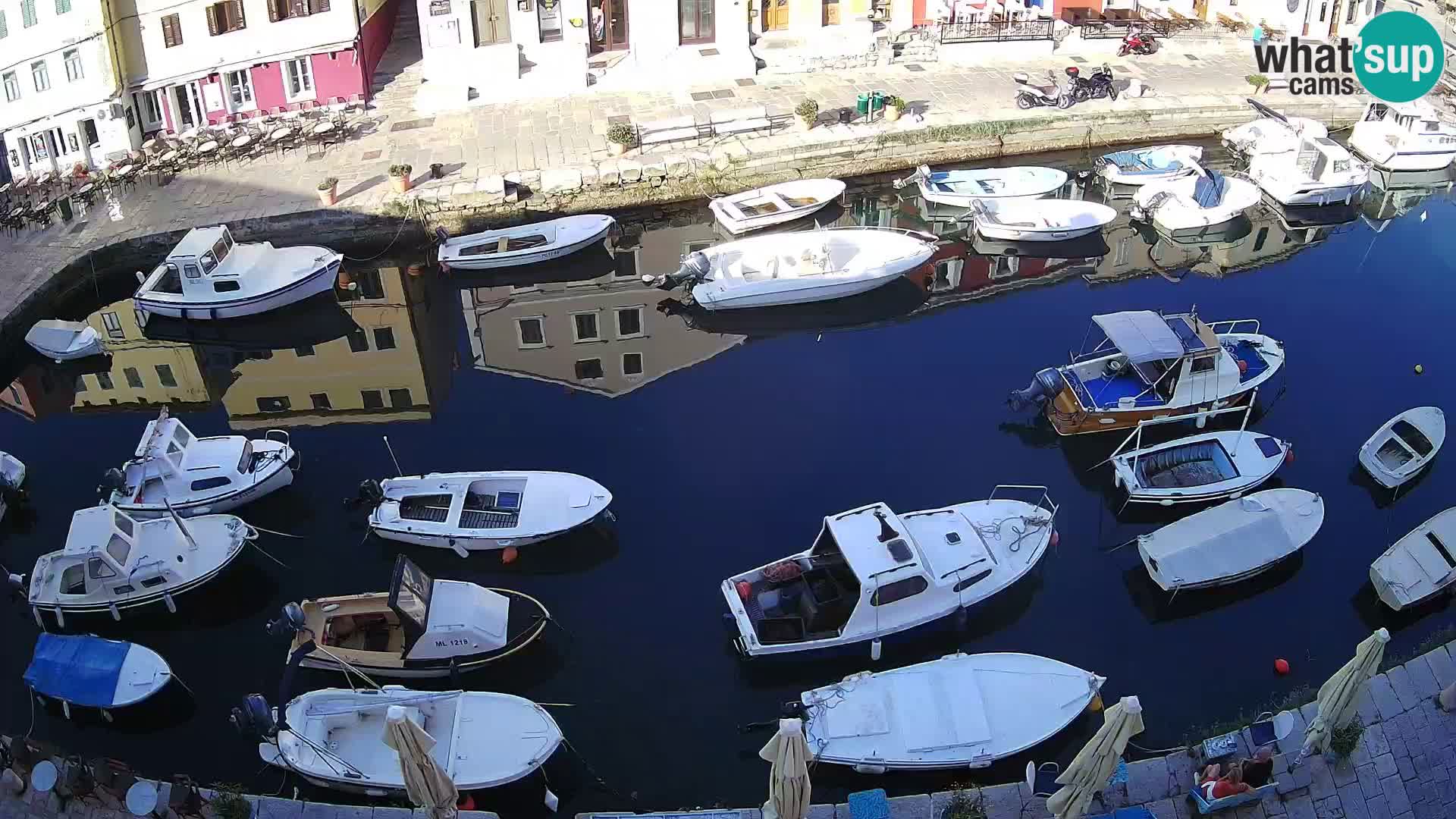 Veli Lošinj livecam – Carre