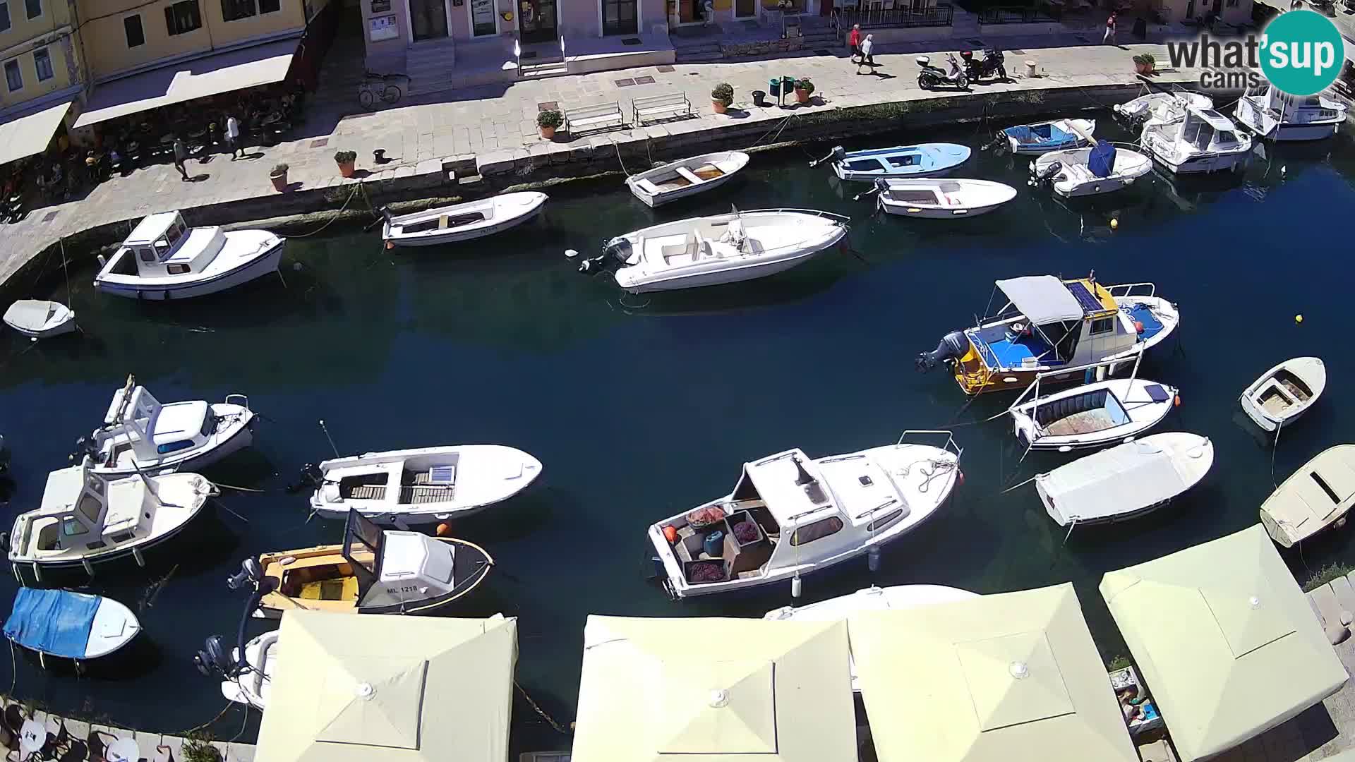 Veli Lošinj livecam – Carre