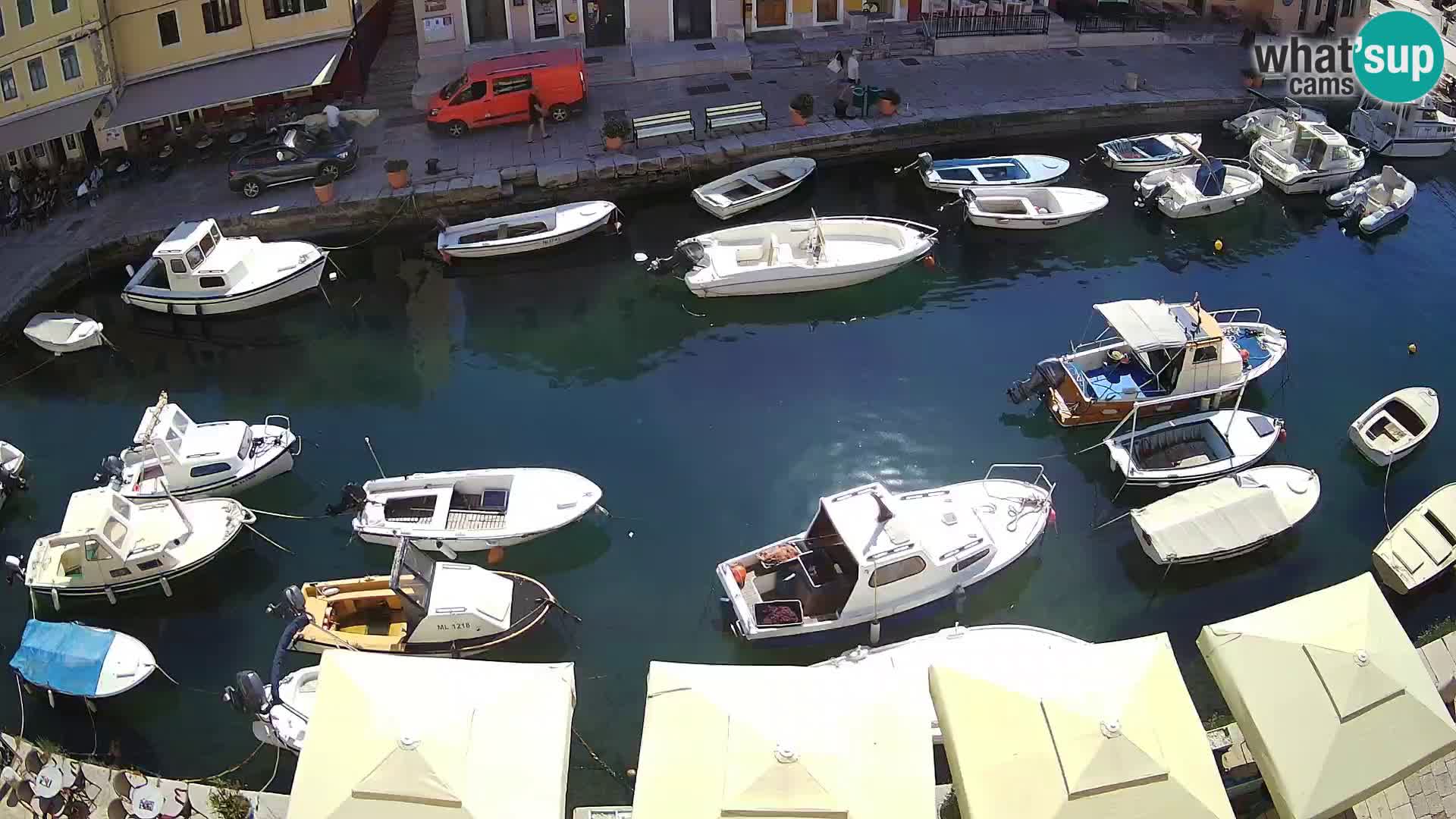 Veli Lošinj spletna kamera – trg