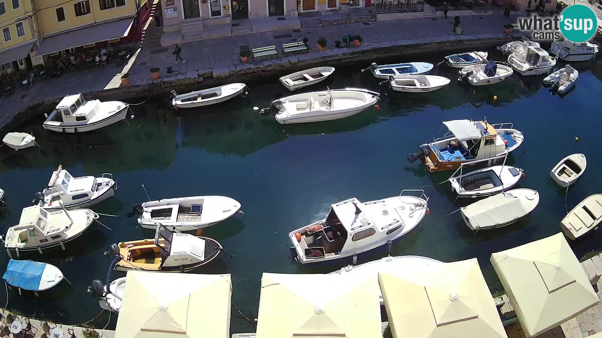 Veli Lošinj livecam – Carre