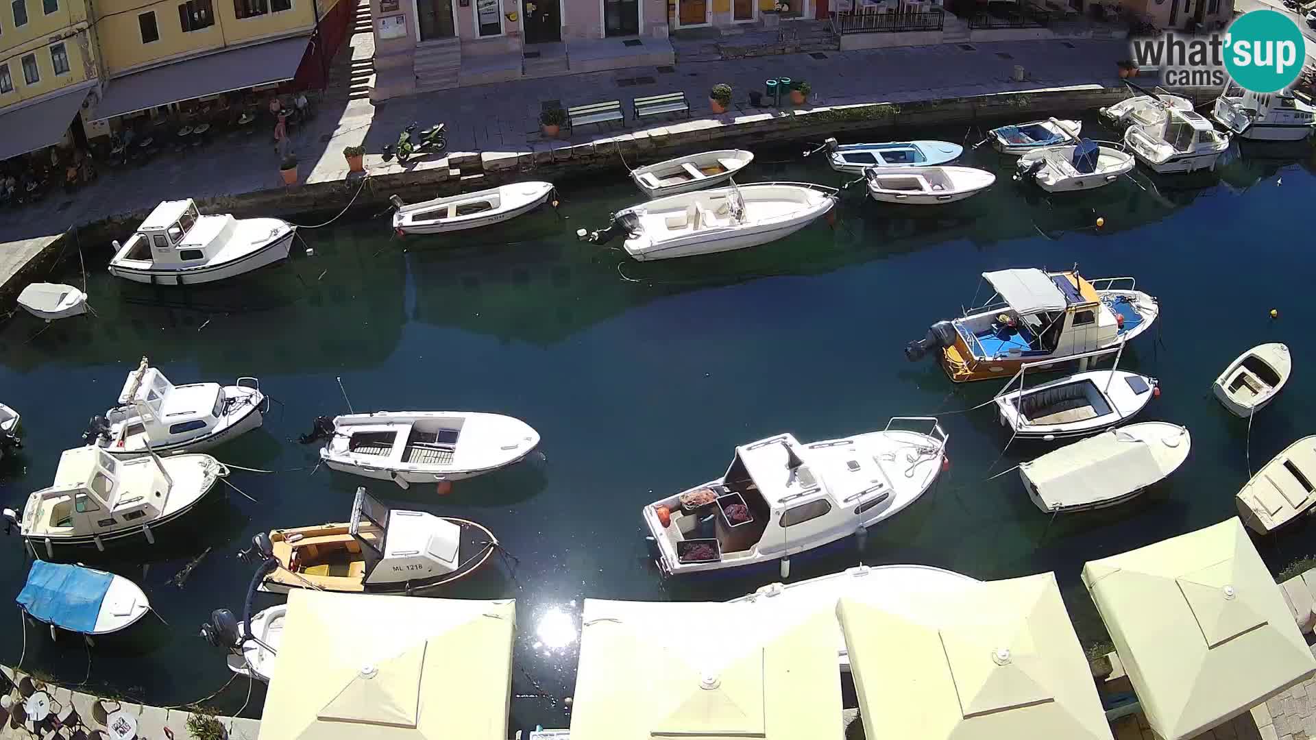 Veli Lošinj livecam – platz