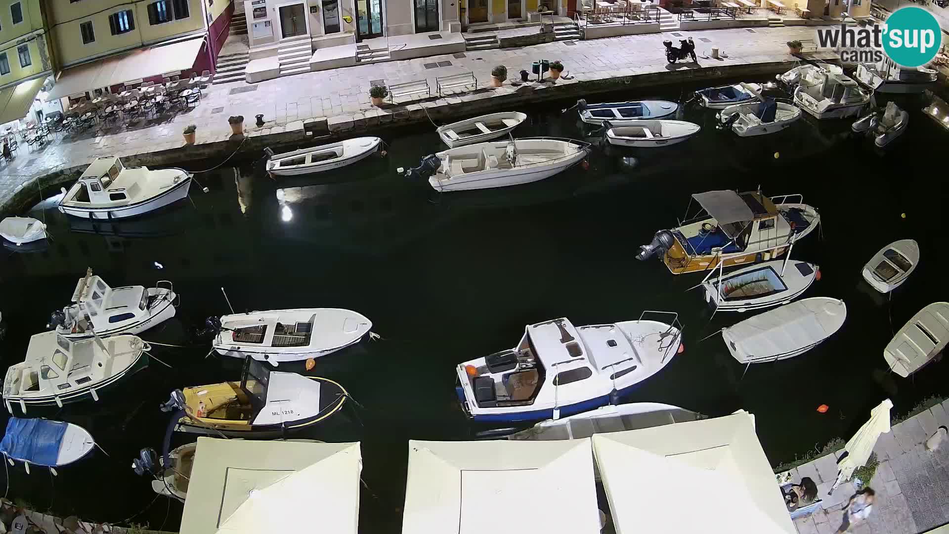 Veli Lošinj livecam – Carre