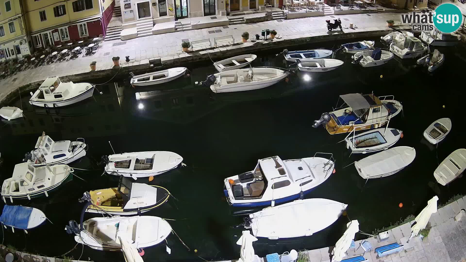 Veli Lošinj livecam – Carre