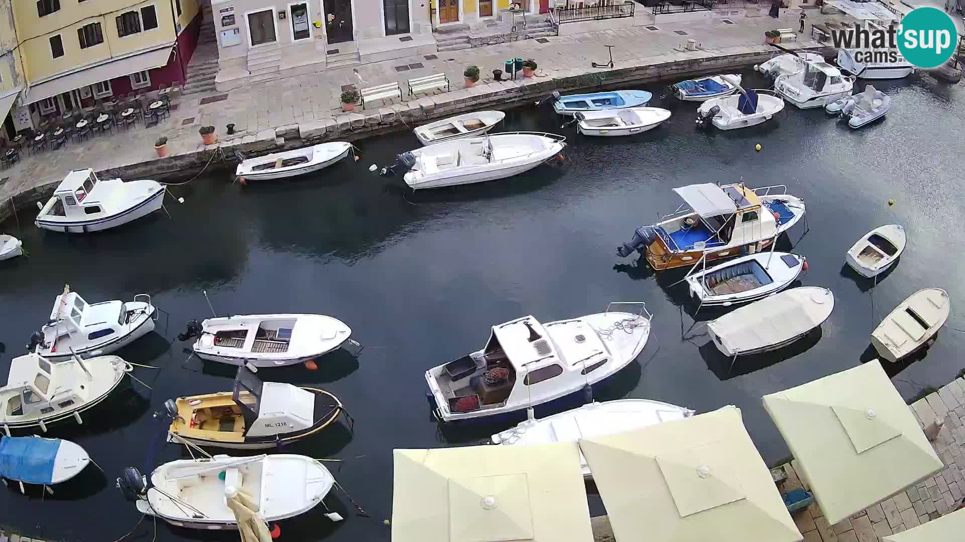 Lussingrande webcam – Piazzetta