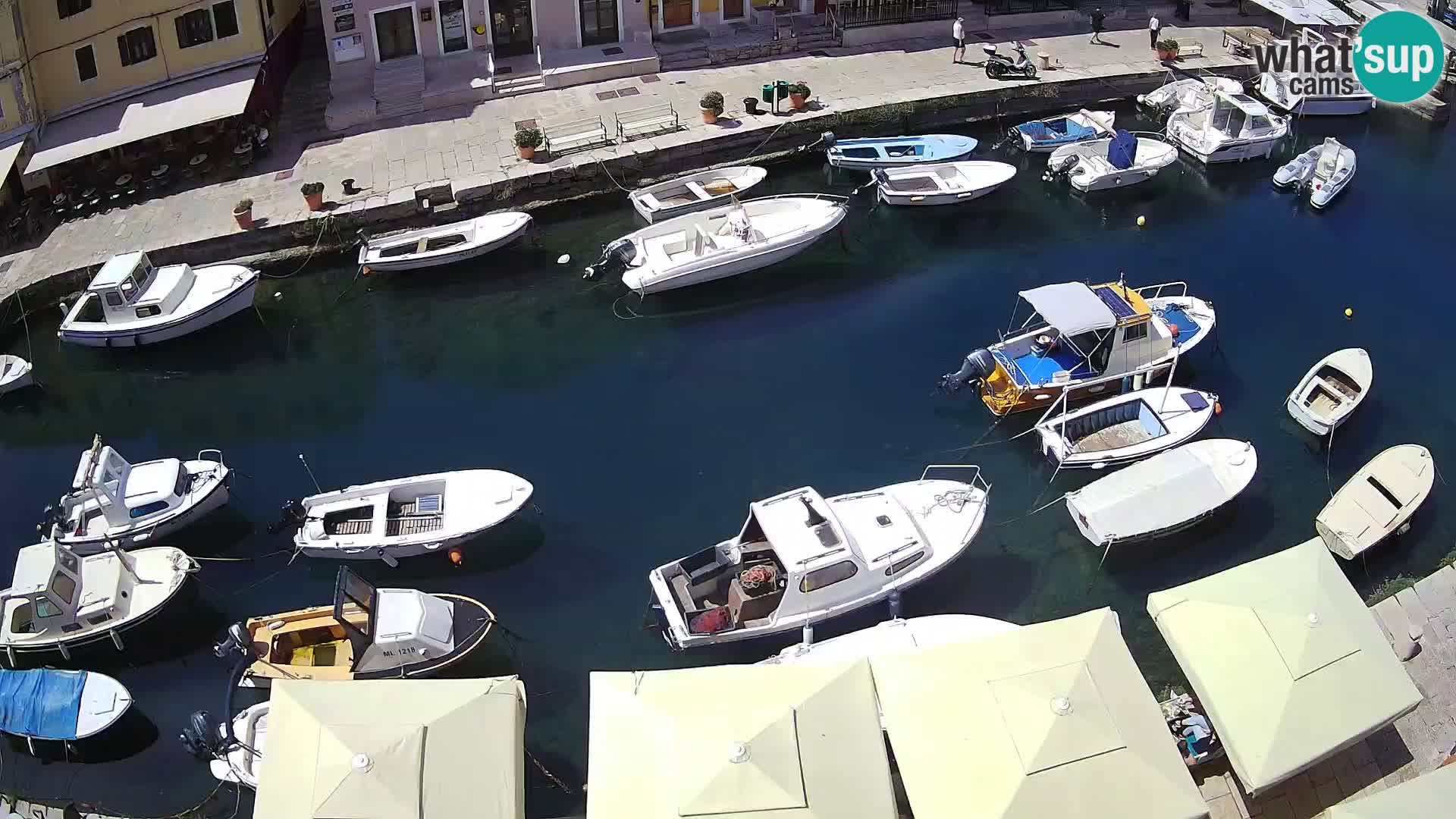 Veli Lošinj camera en vivo – plaza