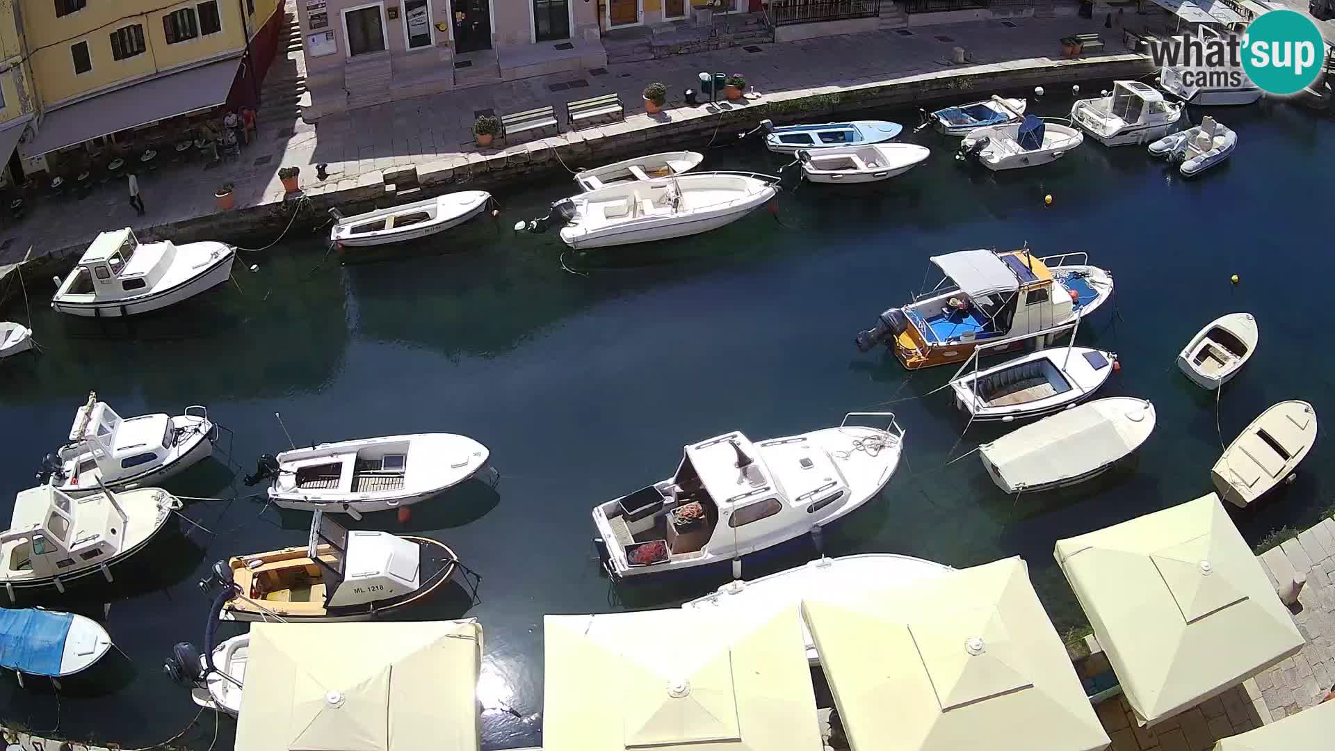 Veli Lošinj livecam – platz