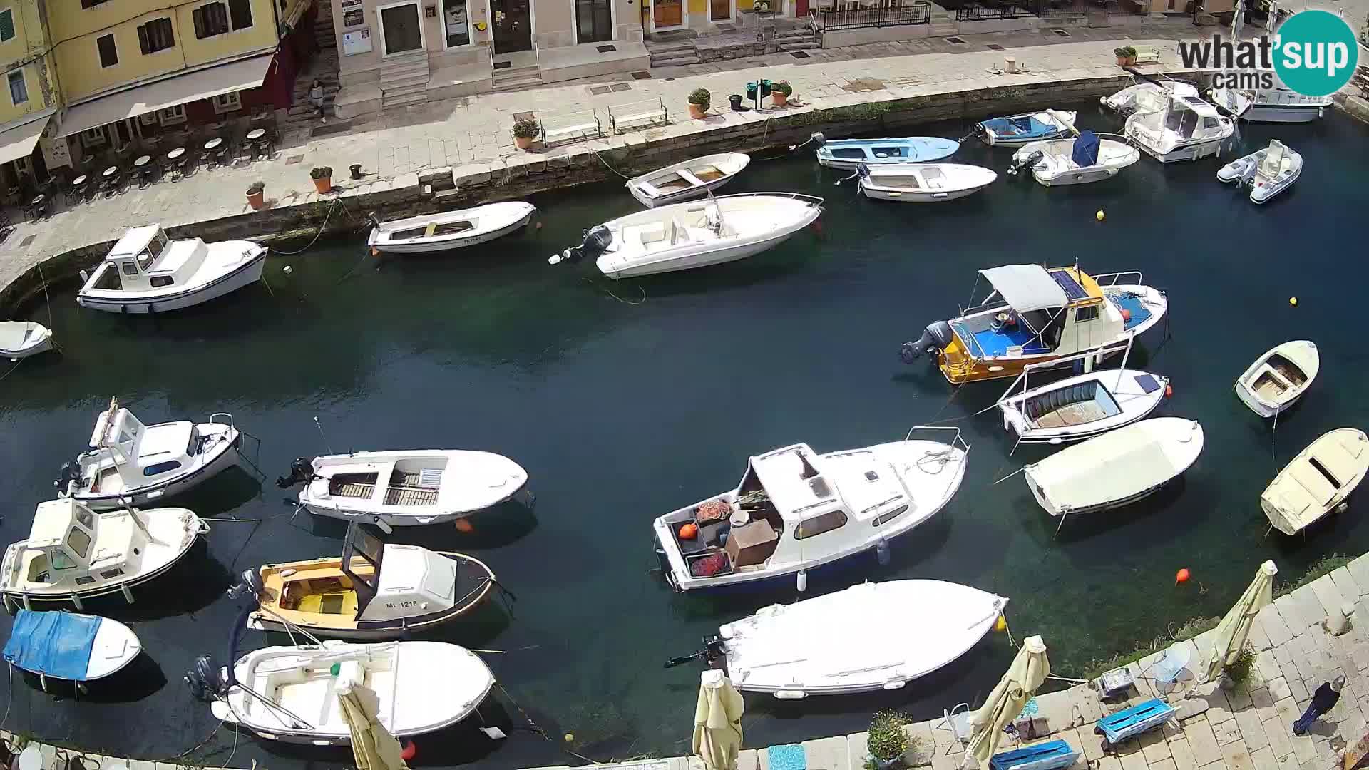 Veli Lošinj livecam – Carre