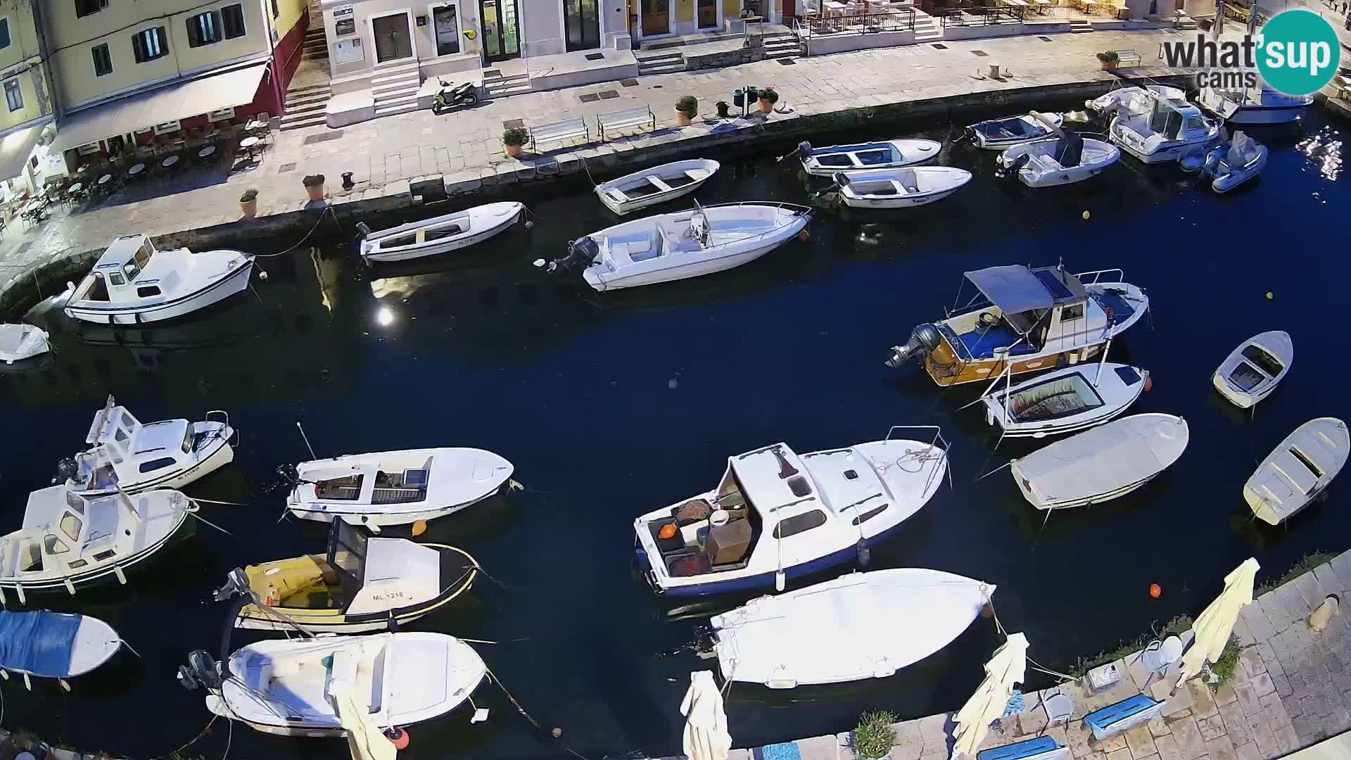 Veli Lošinj web kamera – trgič