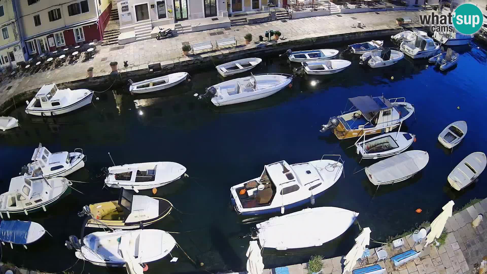 Veli Lošinj livecam – Carre