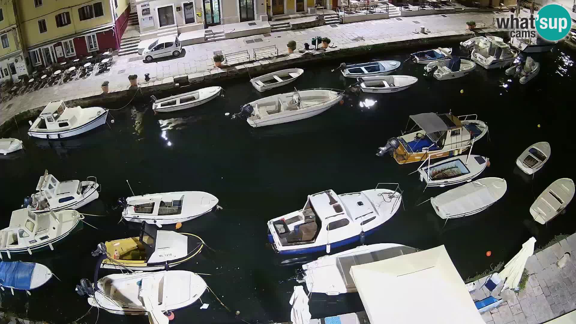 Veli Lošinj livecam – platz
