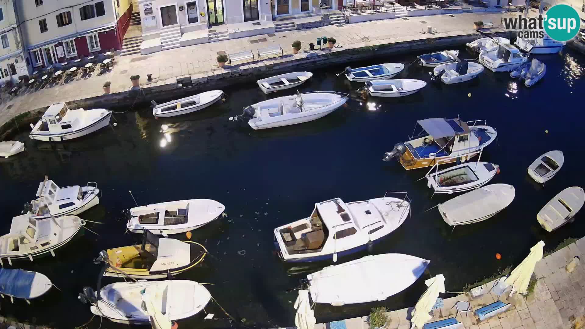 Veli Lošinj livecam – Carre