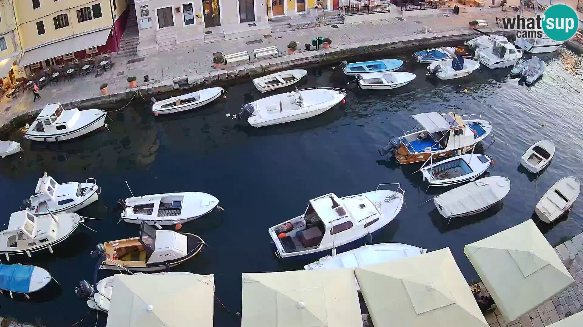 Veli Lošinj livecam – Carre