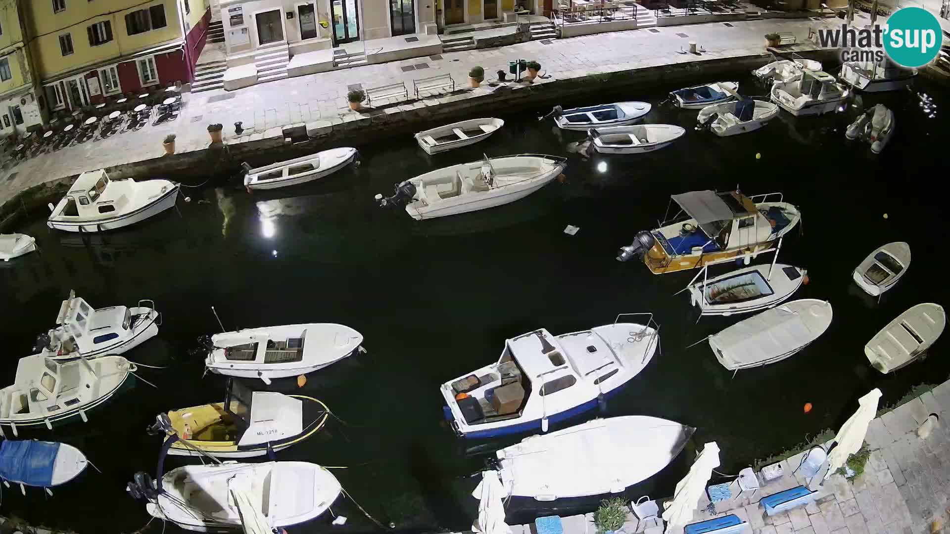Veli Lošinj web kamera – trgič