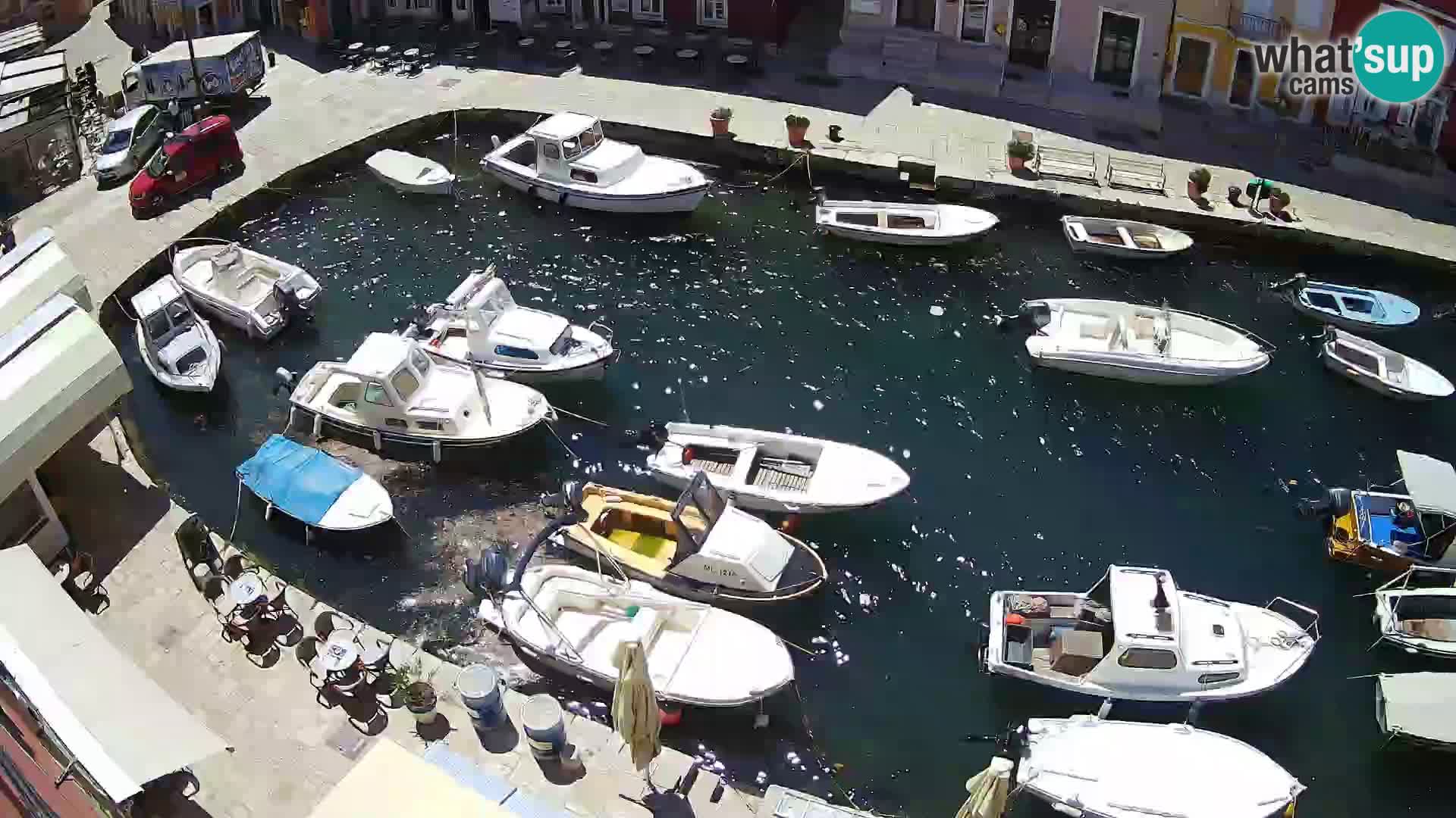 Veli Lošninj webcam – main square