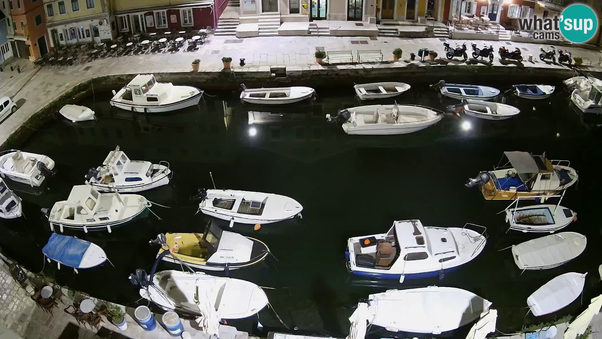Veli Lošinj livecam – Carre