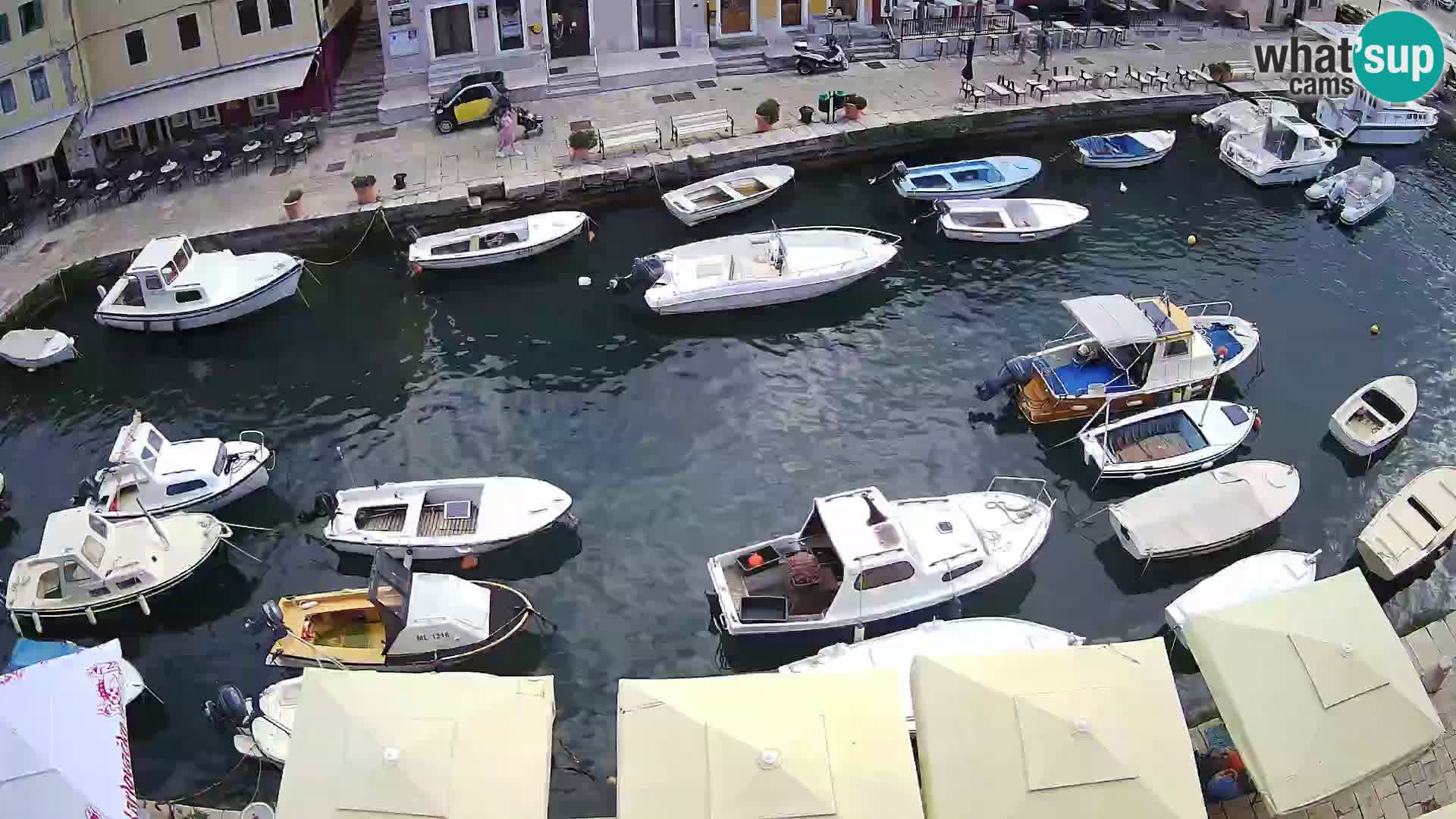 Veli Lošinj web kamera – trgič