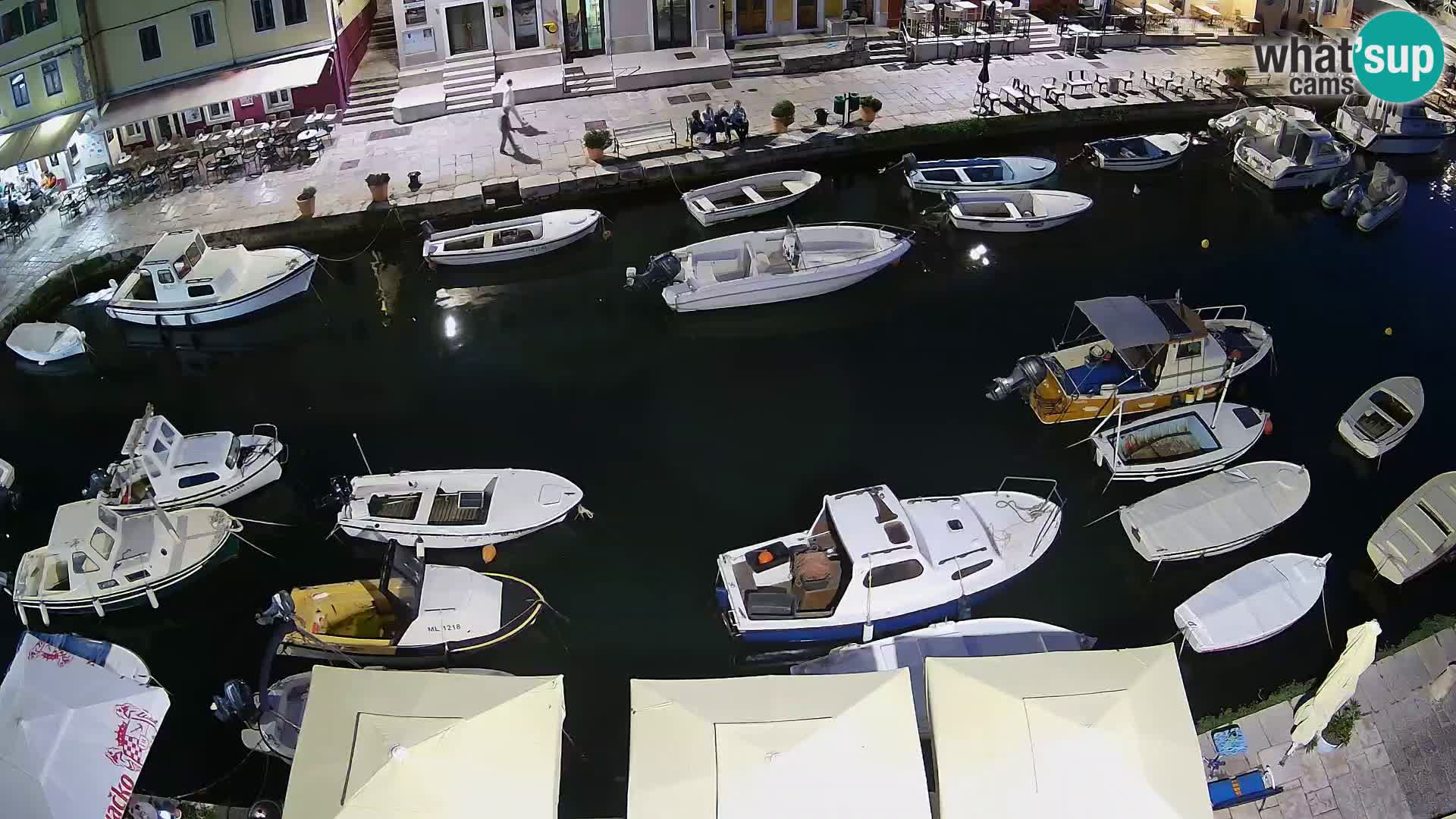 Veli Lošinj livecam – Carre