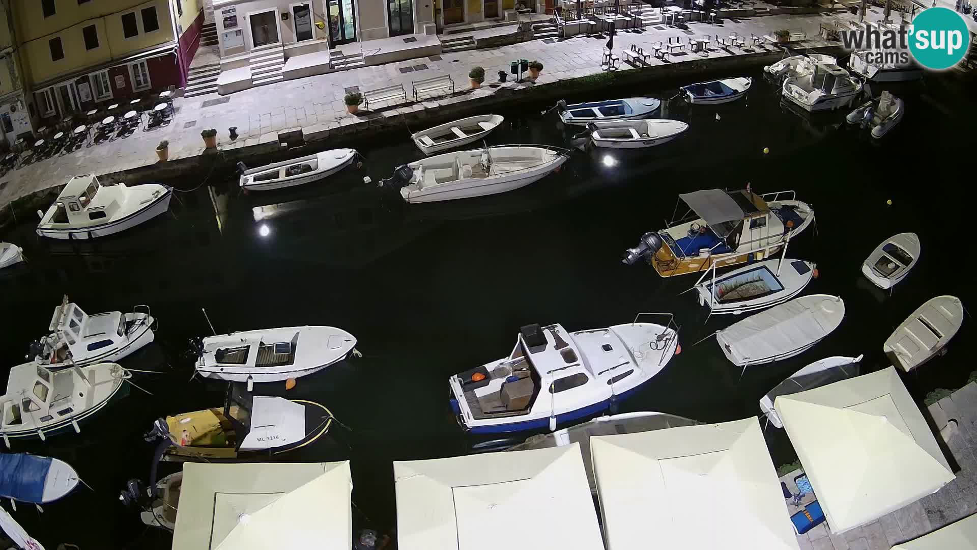 Veli Lošinj livecam – Carre
