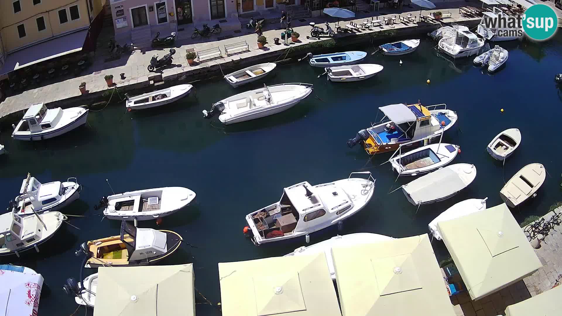 Veli Lošinj livecam – Carre