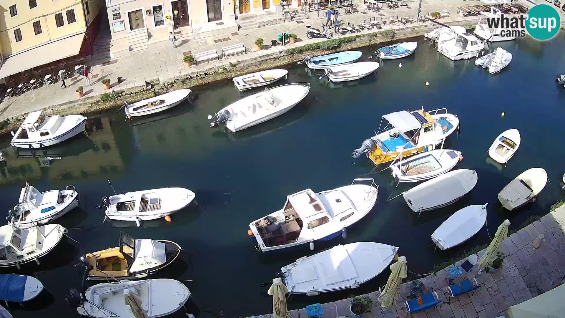 Veli Lošinj livecam – Carre