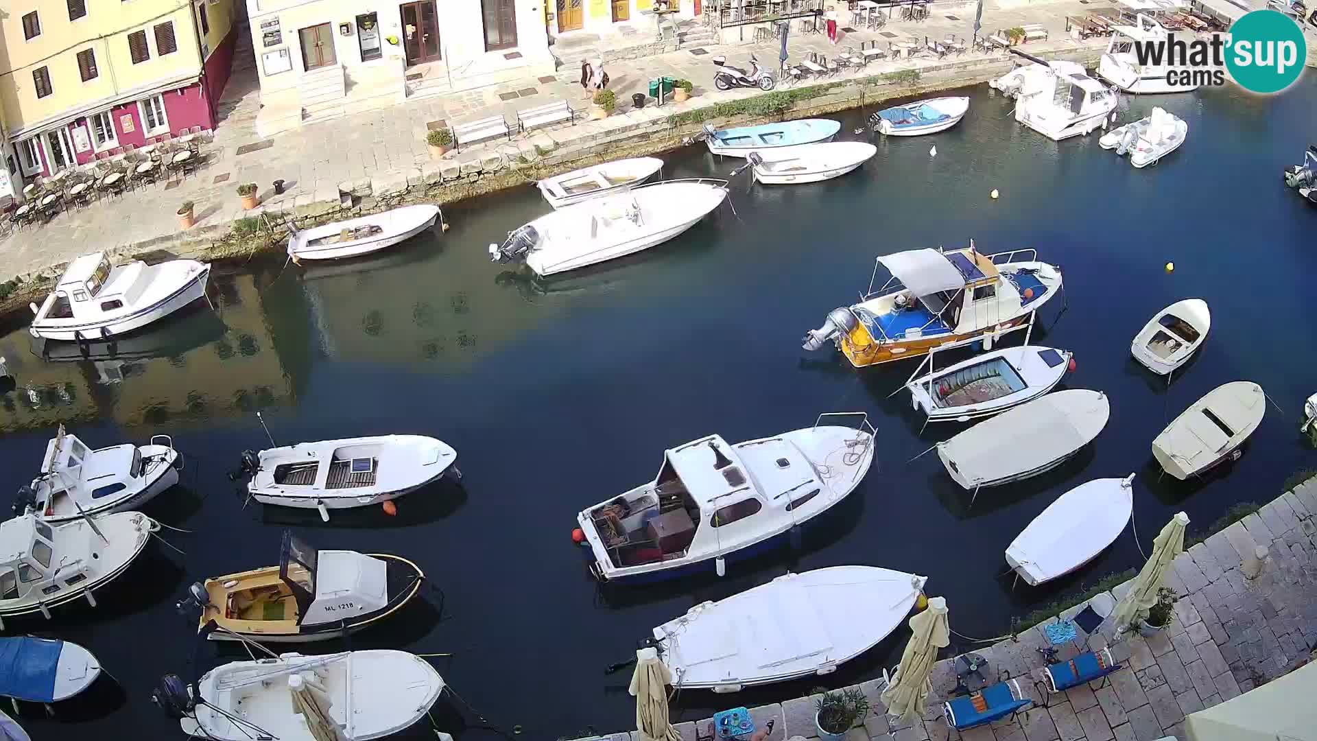 Veli Lošinj livecam – Carre