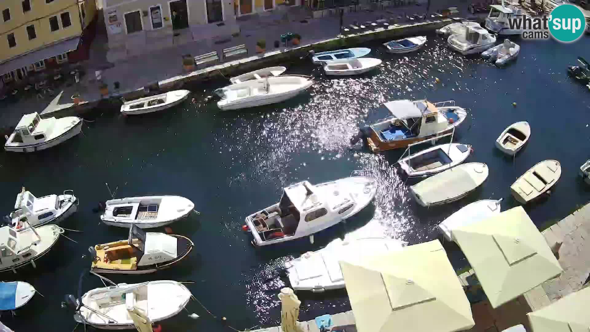 Veli Lošinj web kamera – trgič