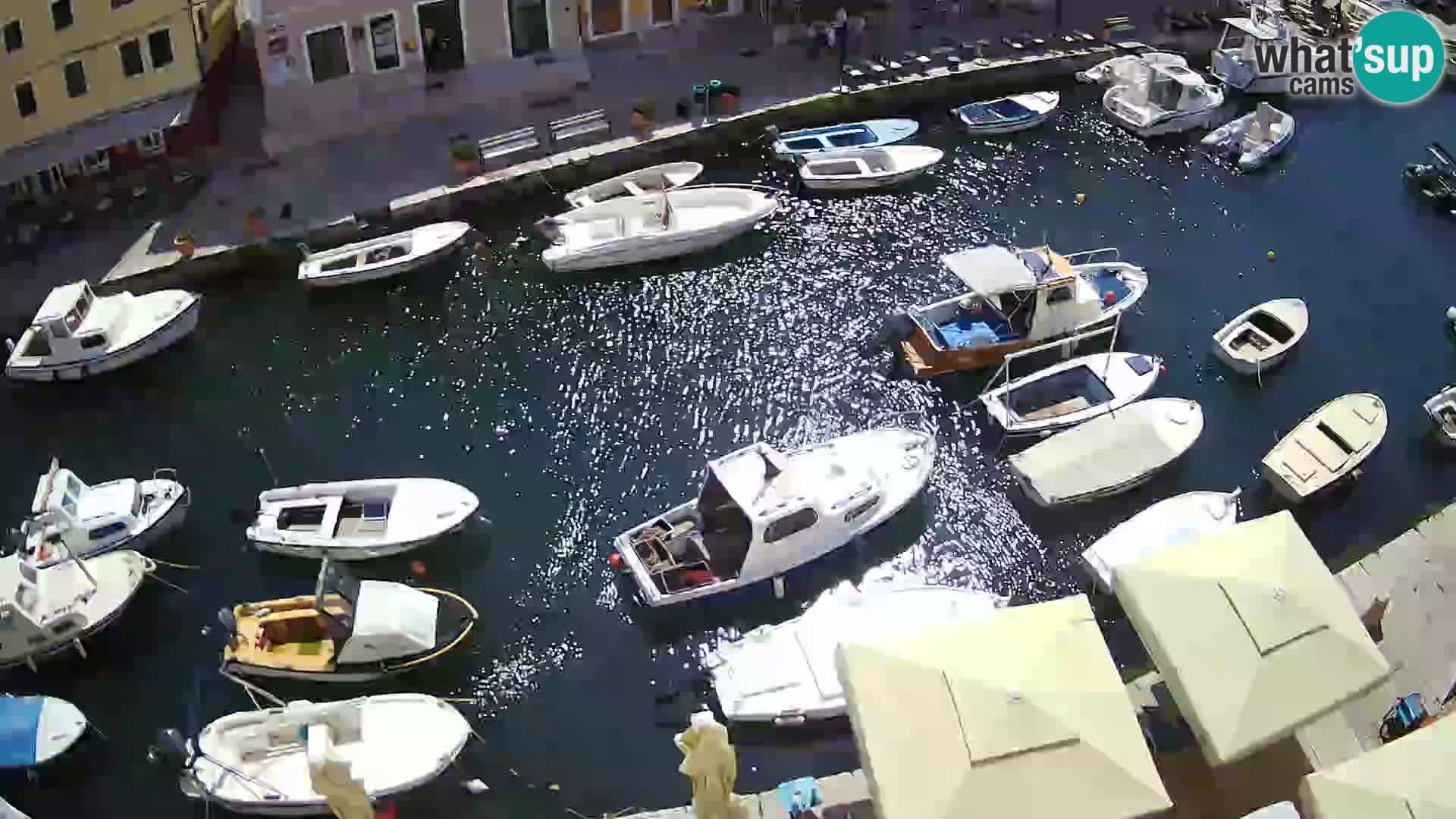 Veli Lošinj livecam – Carre