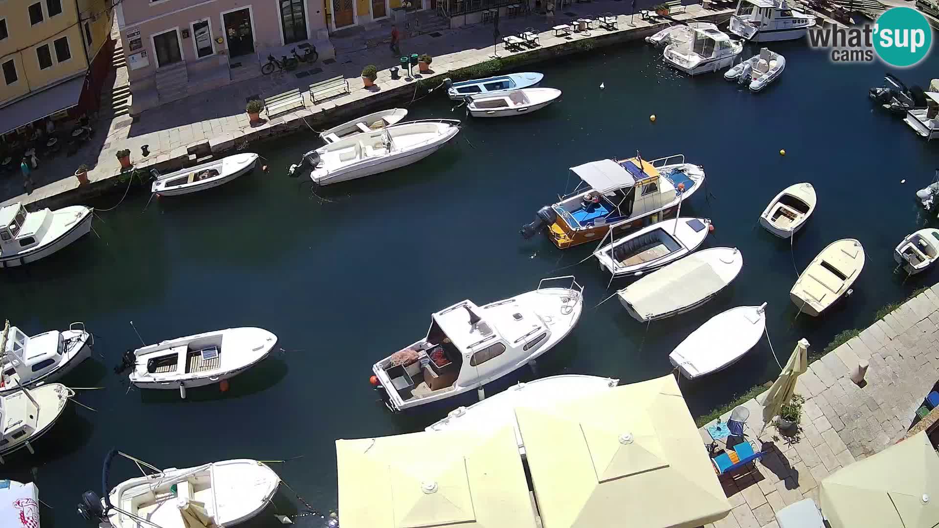 Veli Lošinj livecam – Carre