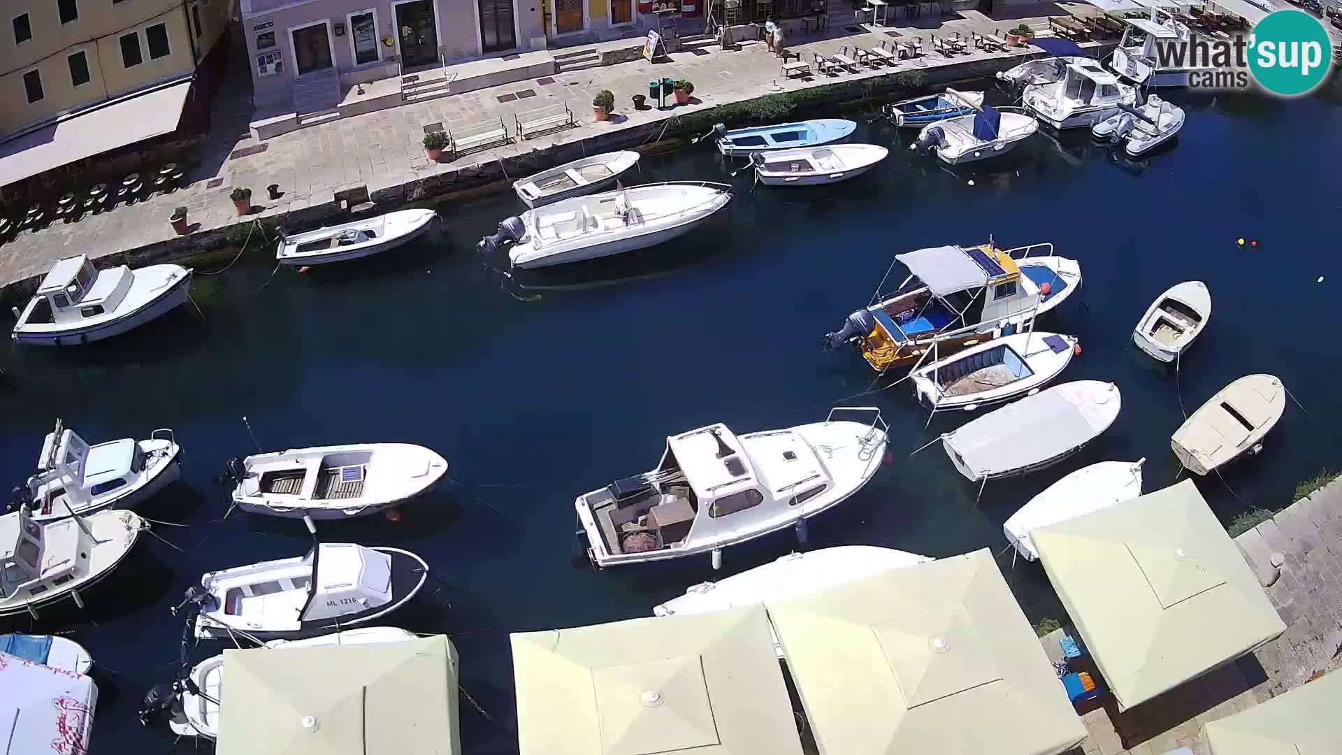 Veli Lošinj spletna kamera – trg
