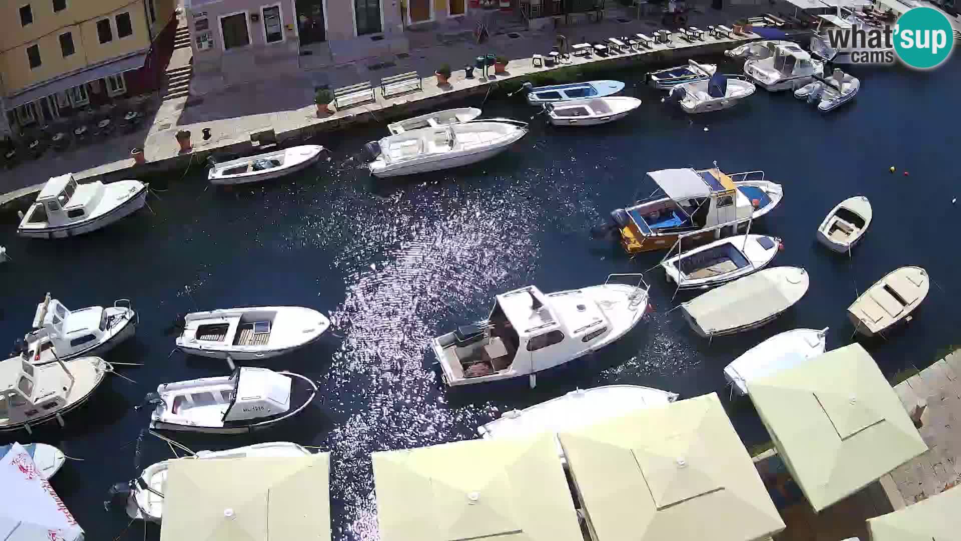 Veli Lošinj livecam – platz
