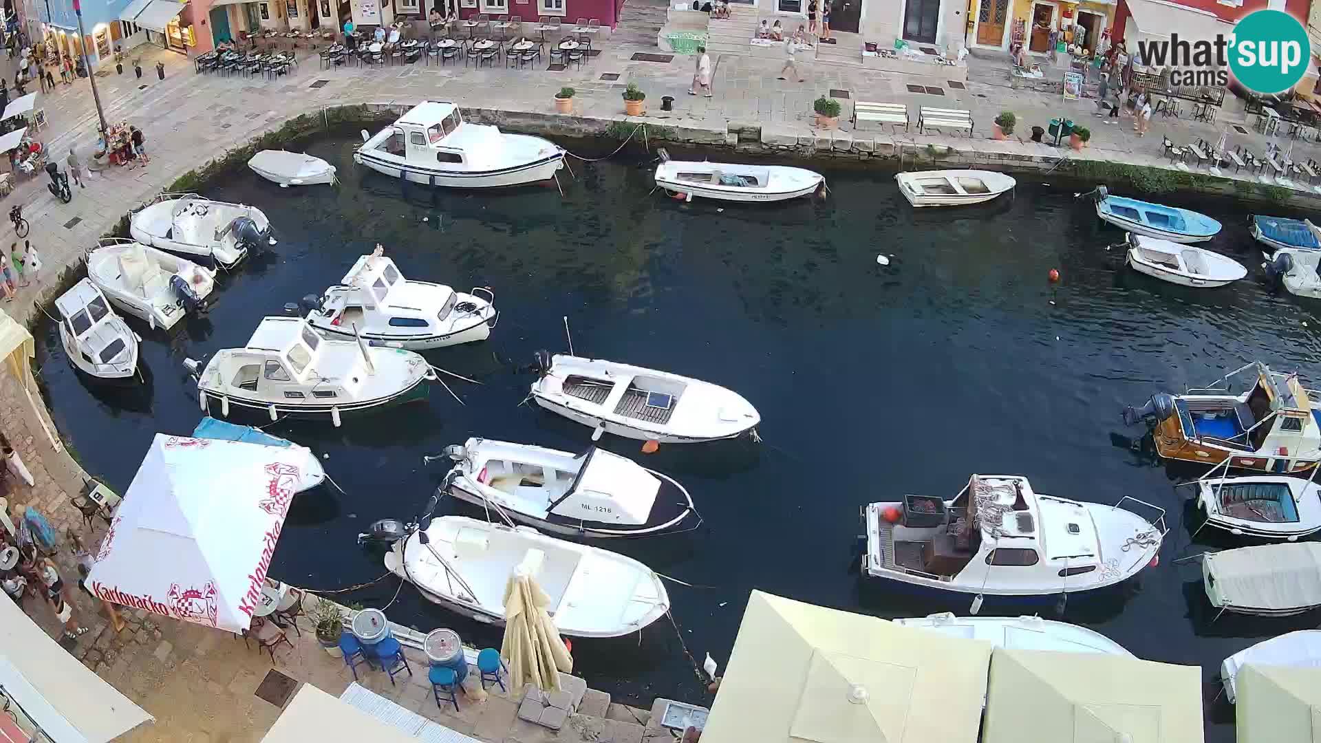 Veli Lošinj livecam – Carre