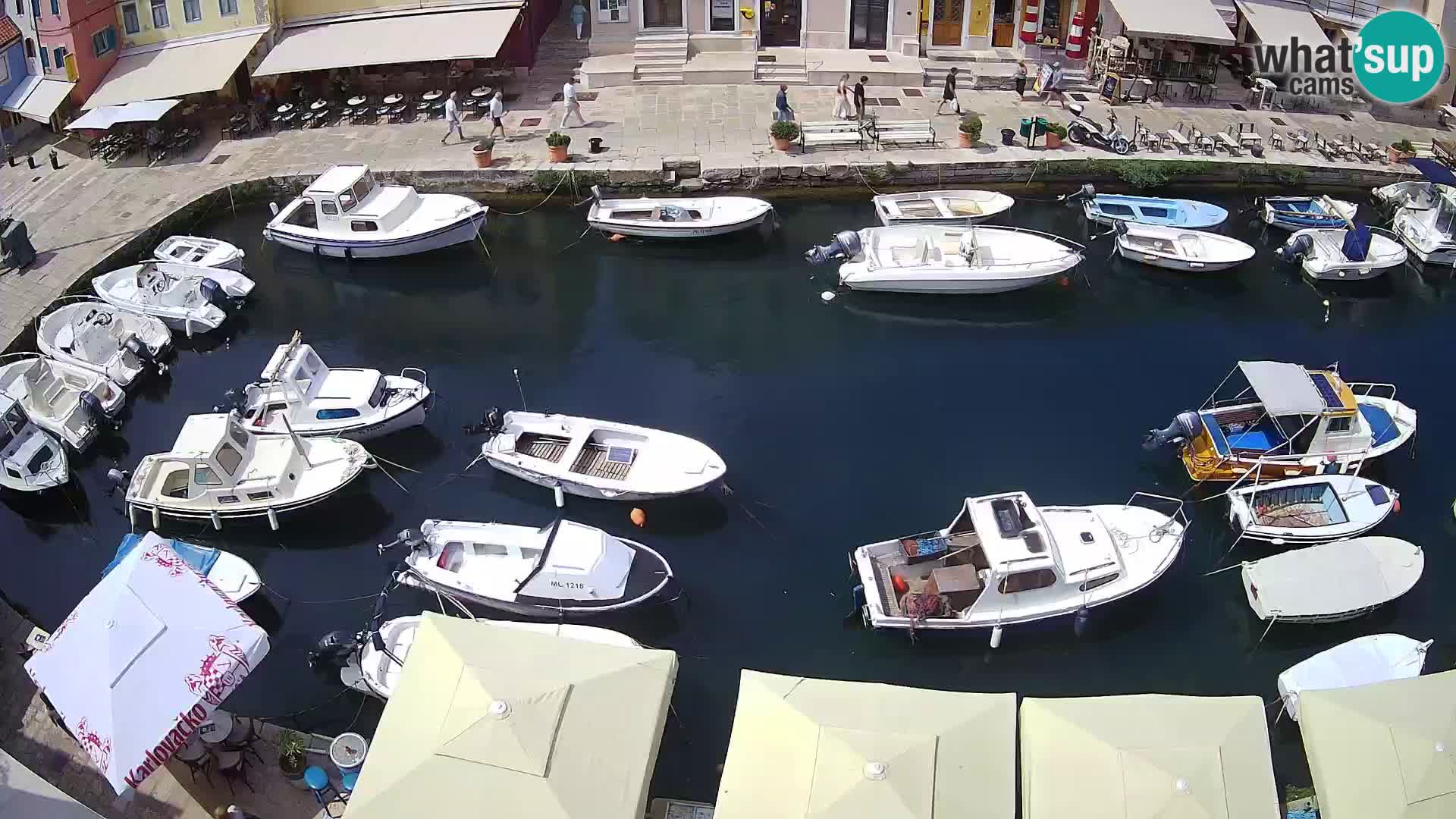 Veli Lošinj livecam – Carre