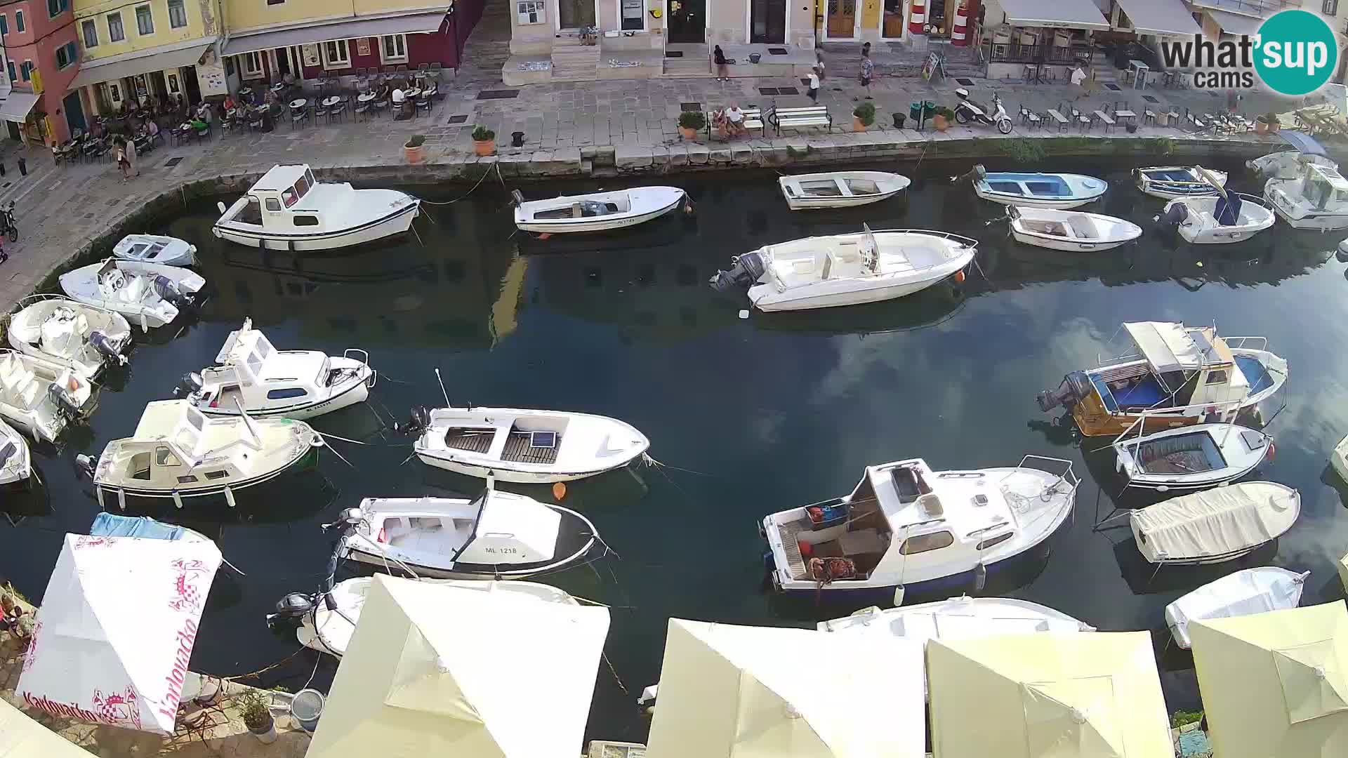 Veli Lošinj livecam – Carre