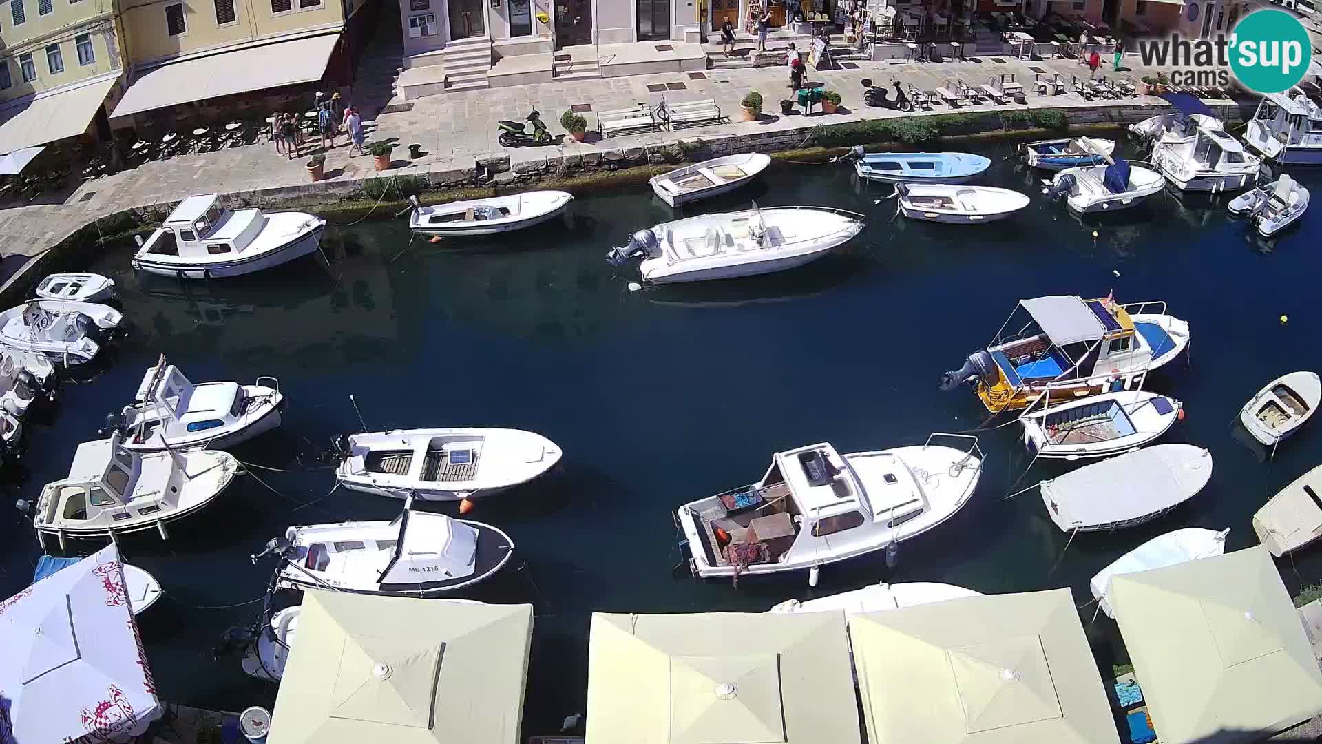Veli Lošinj camera en vivo – plaza