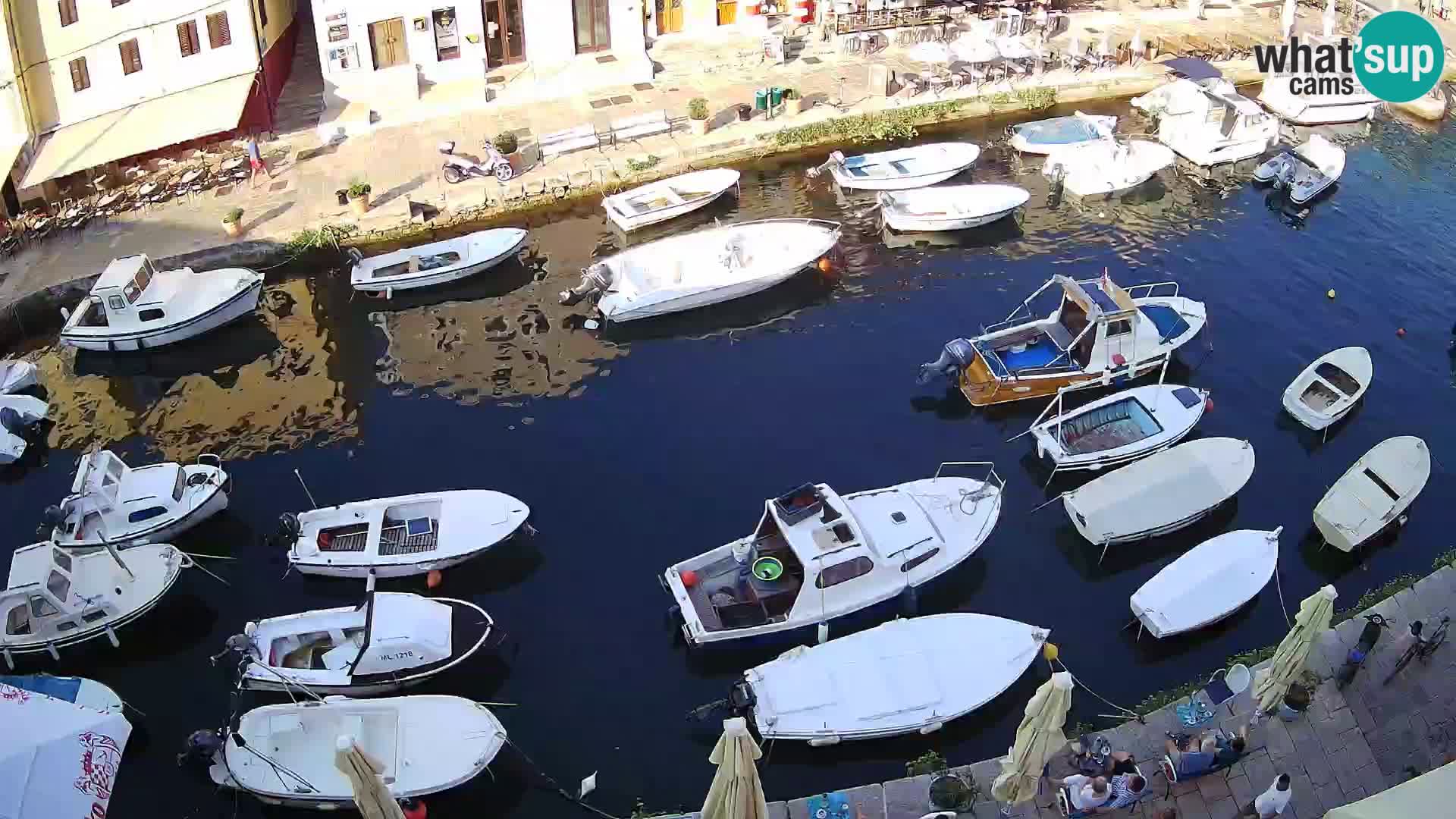 Veli Lošinj livecam – Carre