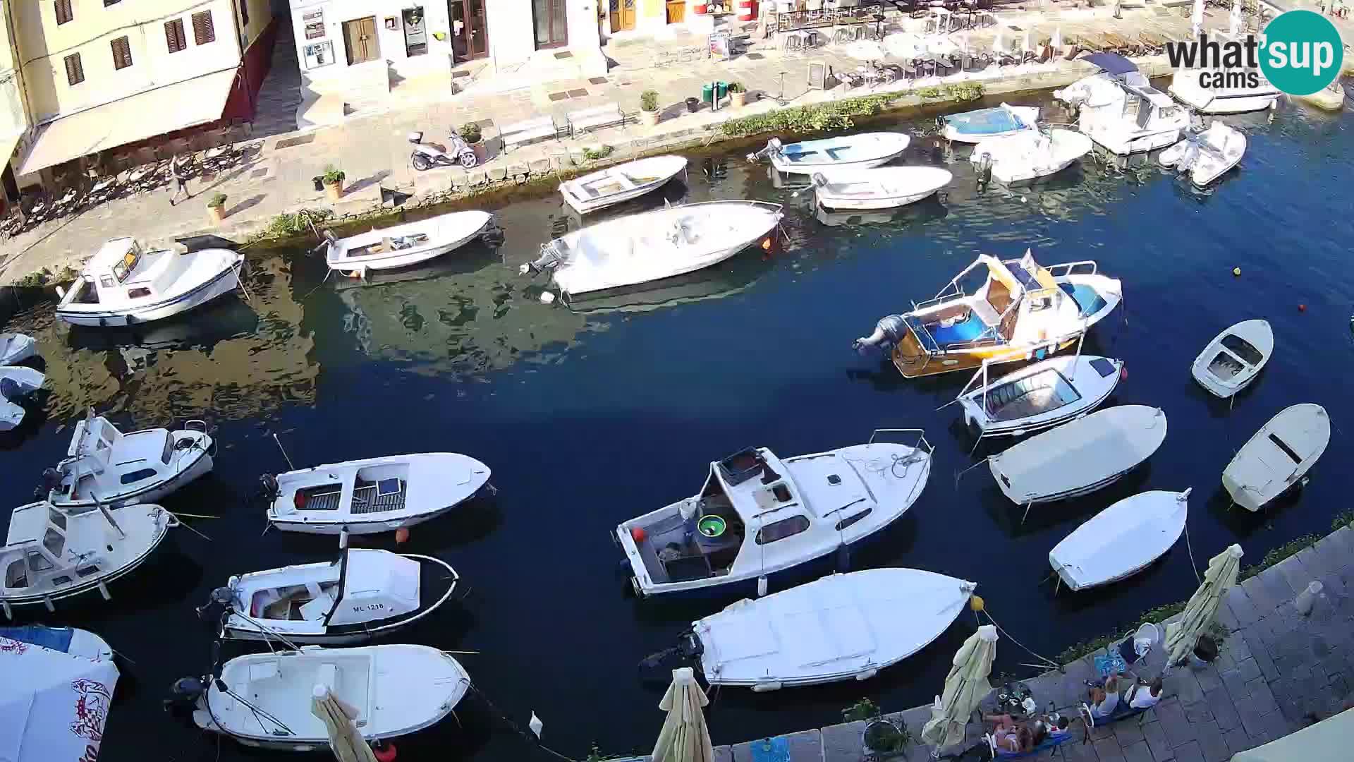 Veli Lošinj livecam – Carre