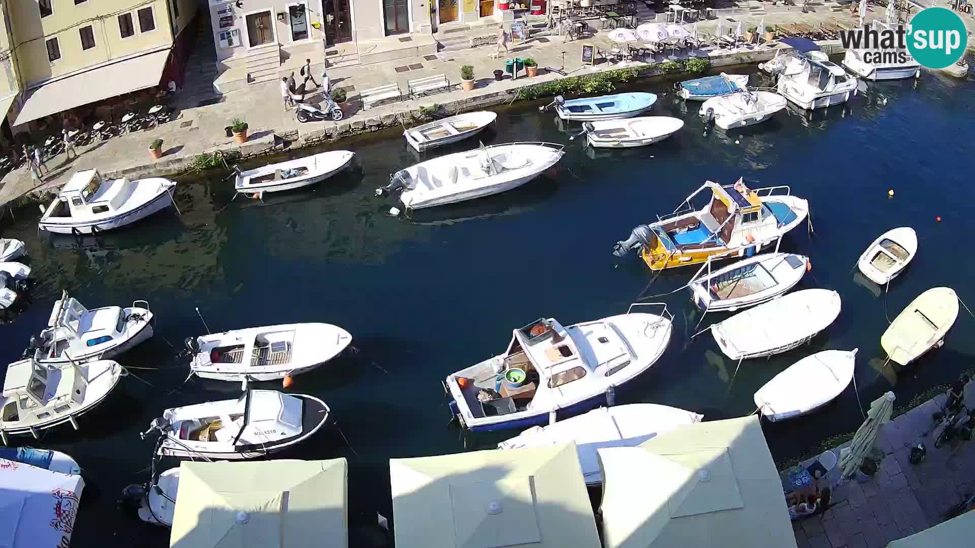 Veli Lošinj livecam – Carre