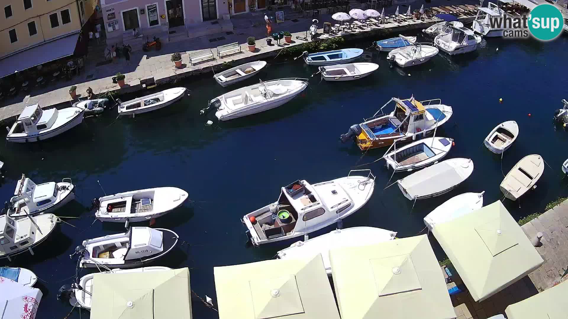 Veli Lošinj livecam – Carre