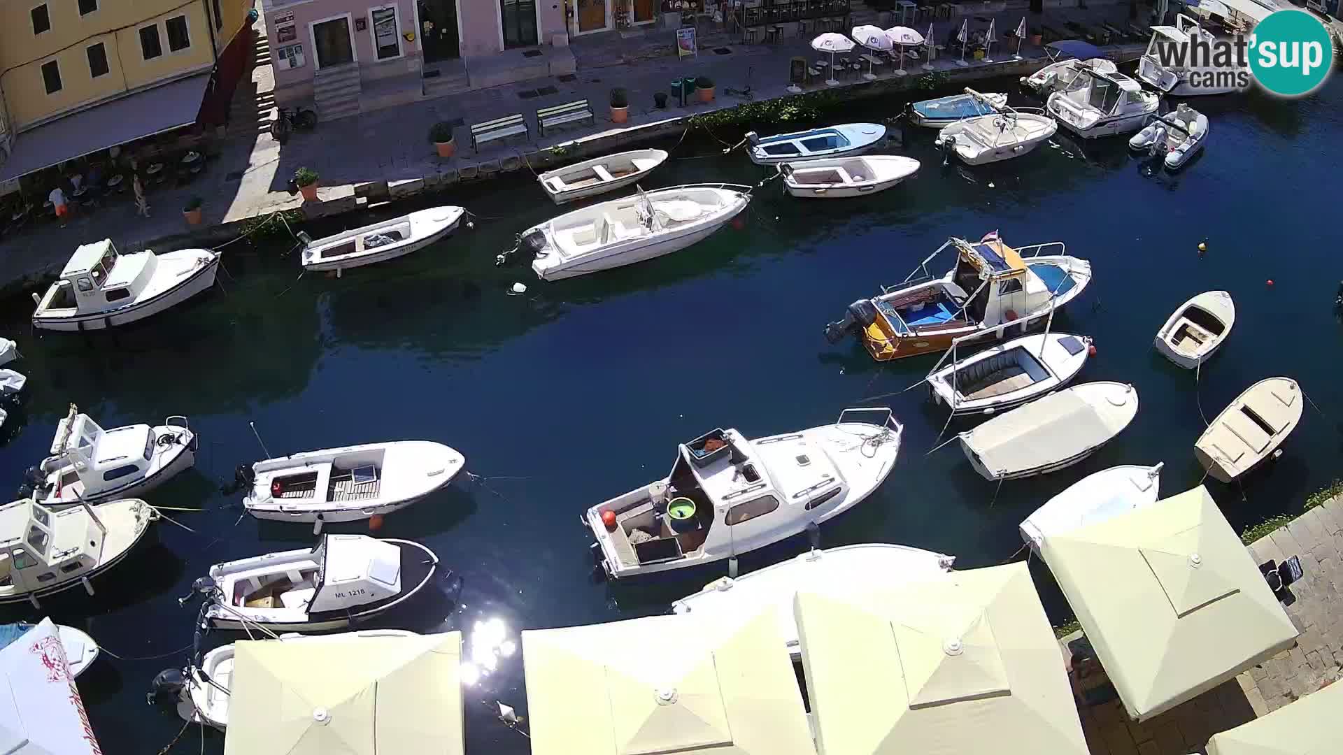 Veli Lošinj livecam – Carre
