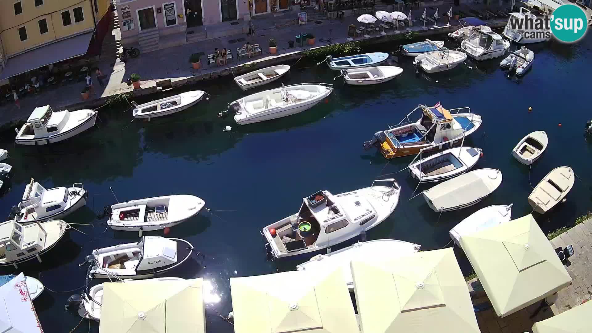 Veli Lošinj livecam – Carre