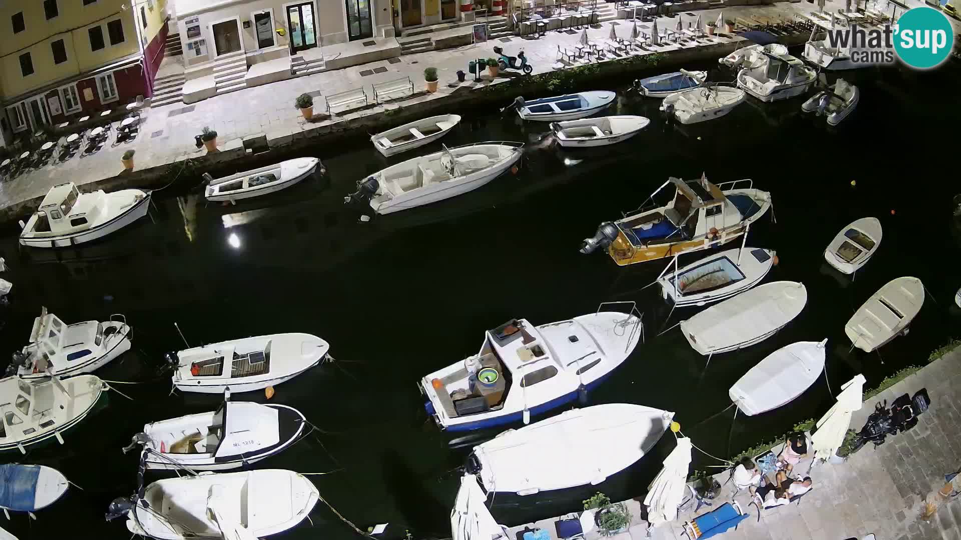 Veli Lošinj livecam – Carre